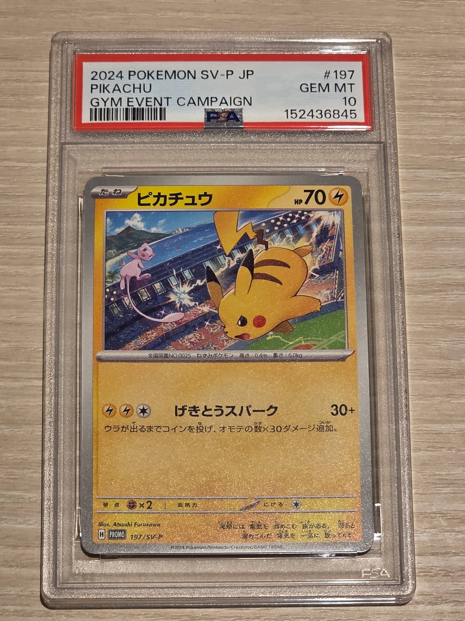 Pikachu P [SV-P 197](Promotional Cards "WCS2024 Commemorative Campaign")