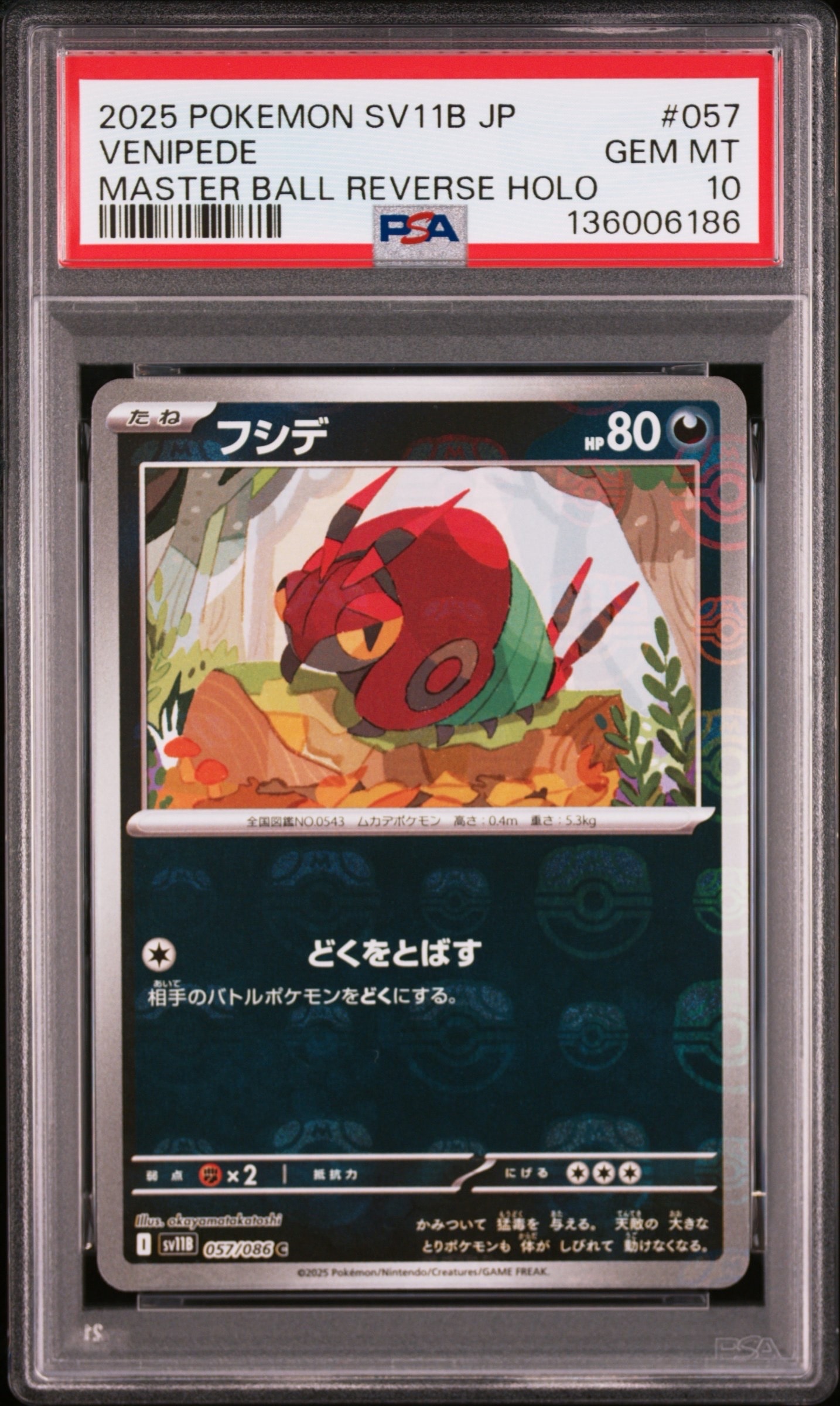フシデ C :マスターボールミラー [SV11B 057/086](拡張パック「ブラックボルト」)