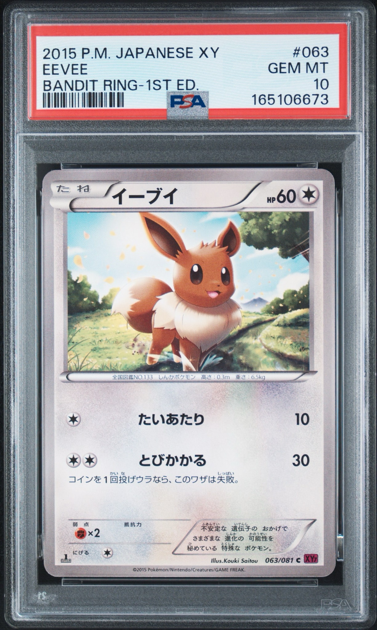 イーブイ C :1ED [XY7 063/081](拡張パック「バンデットリング」)