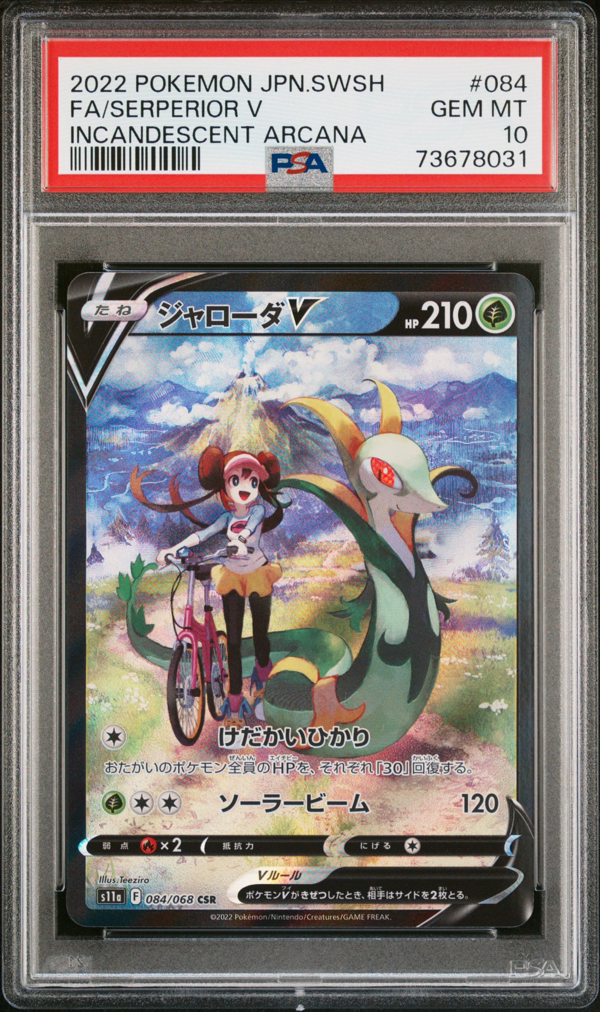 ジャローダV