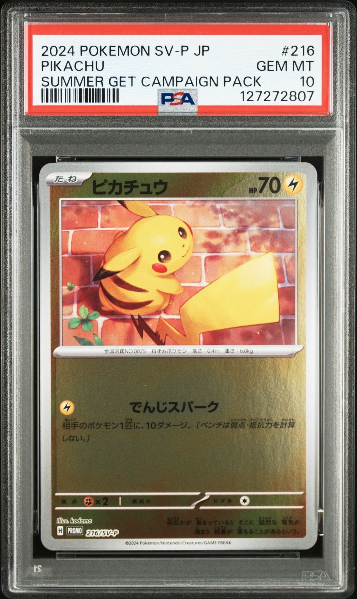 ピカチュウ P [SV-P 216](プロモカードパック「ポケカの夏がキタ!プロモカードGetキャンペーン!」)