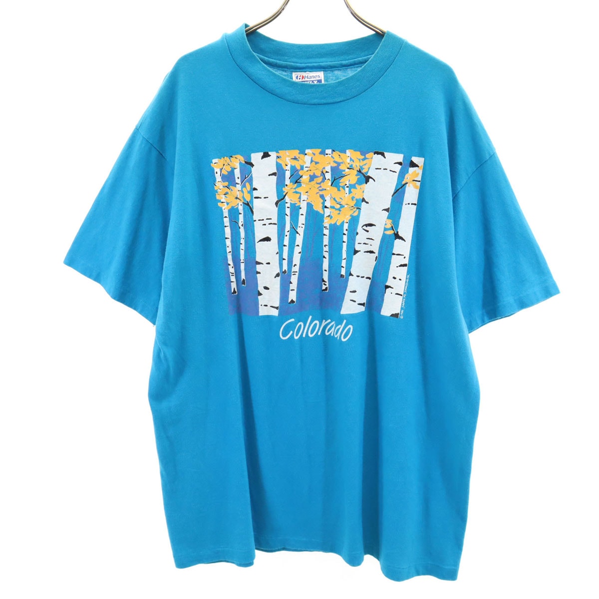 Hanes ヘインズ 80s 90s USA製 オールド 半袖 Tシャツ XL ブルー シングルステッチ