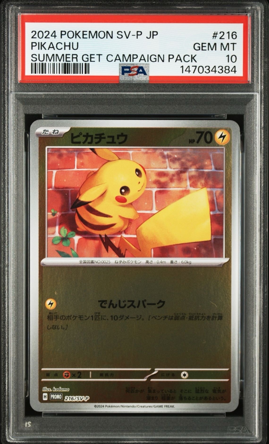ピカチュウ P [SV-P 216](プロモカードパック「ポケカの夏がキタ