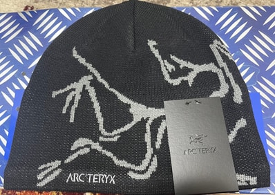 ARC'TERYX Bird Head Toque "Black/Void"