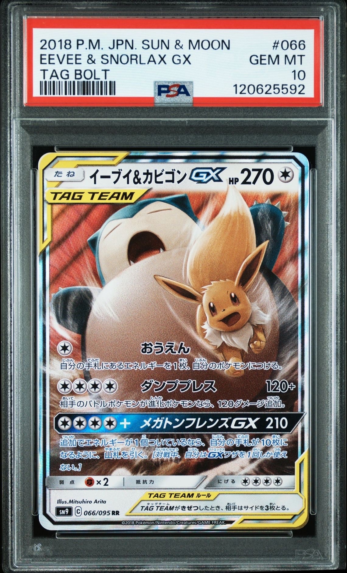 イーブイ&カビゴンGX RR [SM9 066/095](拡張パック「タッグボルト」)
