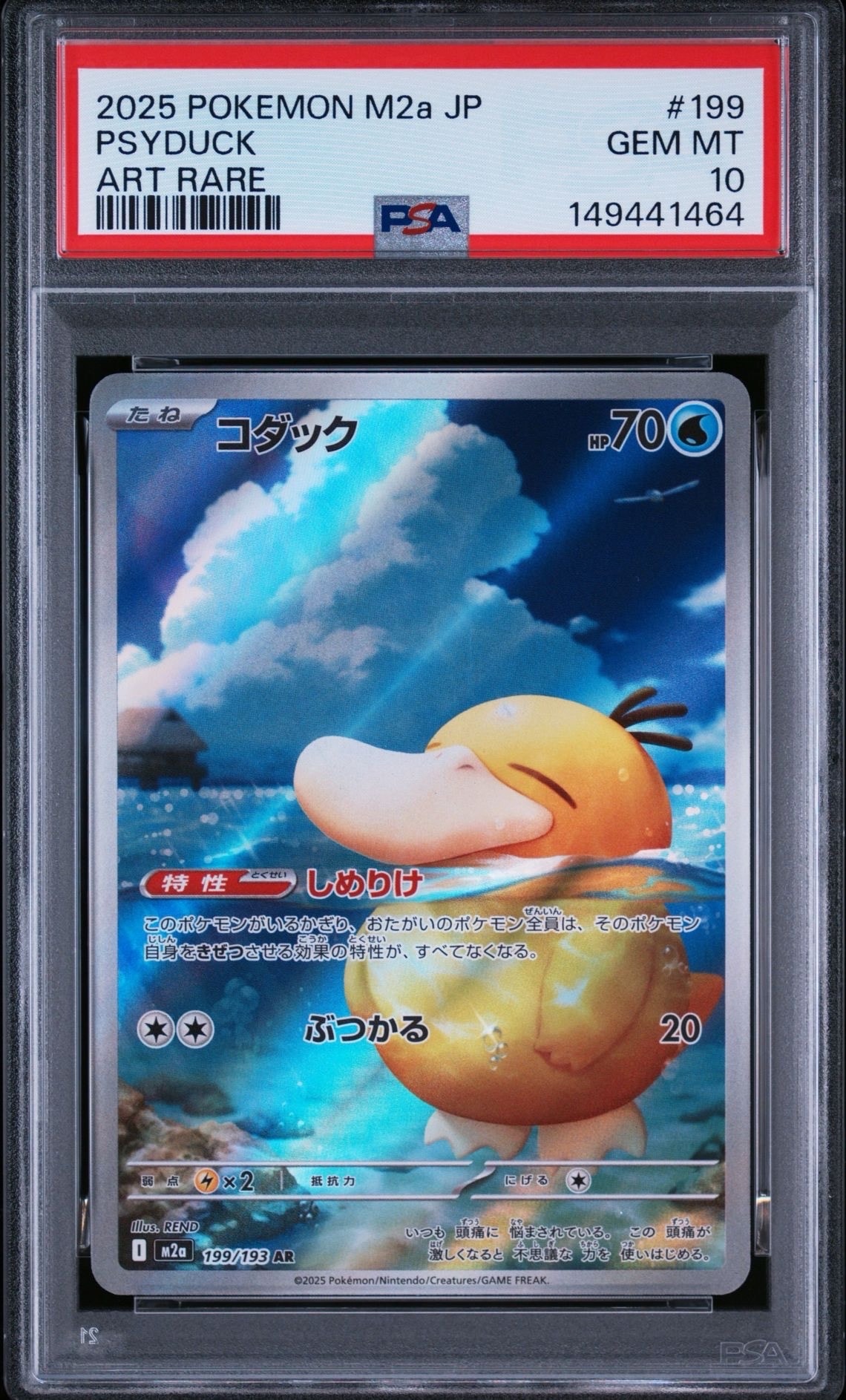 コダック AR [M2a 199/193](ハイクラスパック「MEGAドリームex」)の