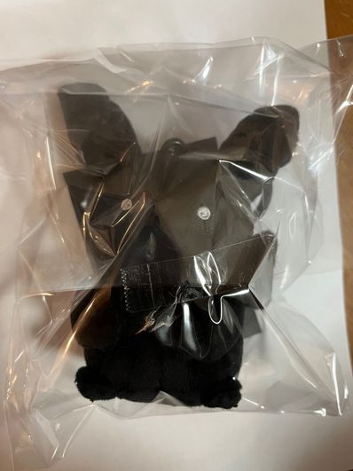 FRAGMENT x POKEMON THUNDERBOLT PROJECT P025 MASCOT "Black"