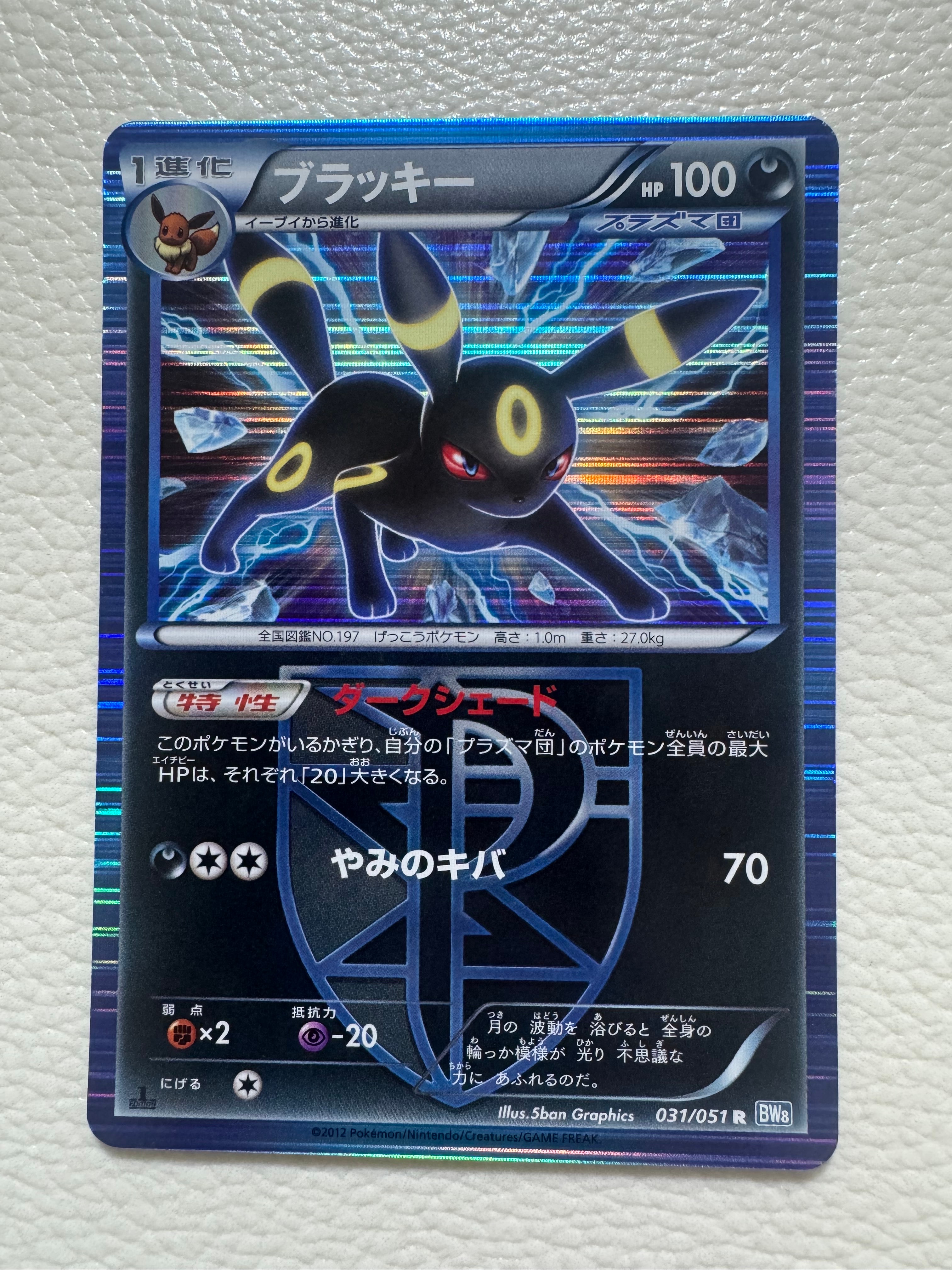 ブラッキー R :1ED [BW8 031/051](拡張パック「ライデンナックル」)