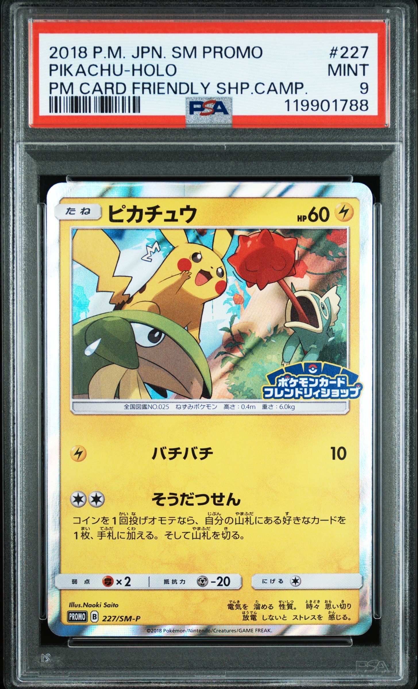 ピカチュウ P [SM-P 227](プロモーションカード「ポケモンカードフレンドリィショップ限定キャンペーン」)