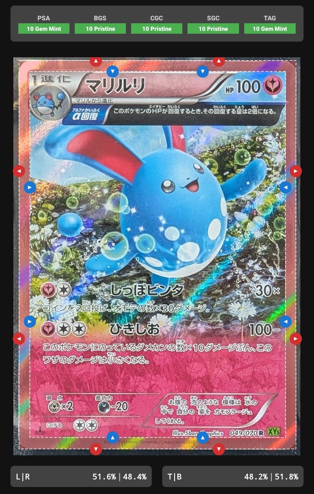 マリルリ R :1ED [XY5 049/070](拡張パック「タイダルストーム」)