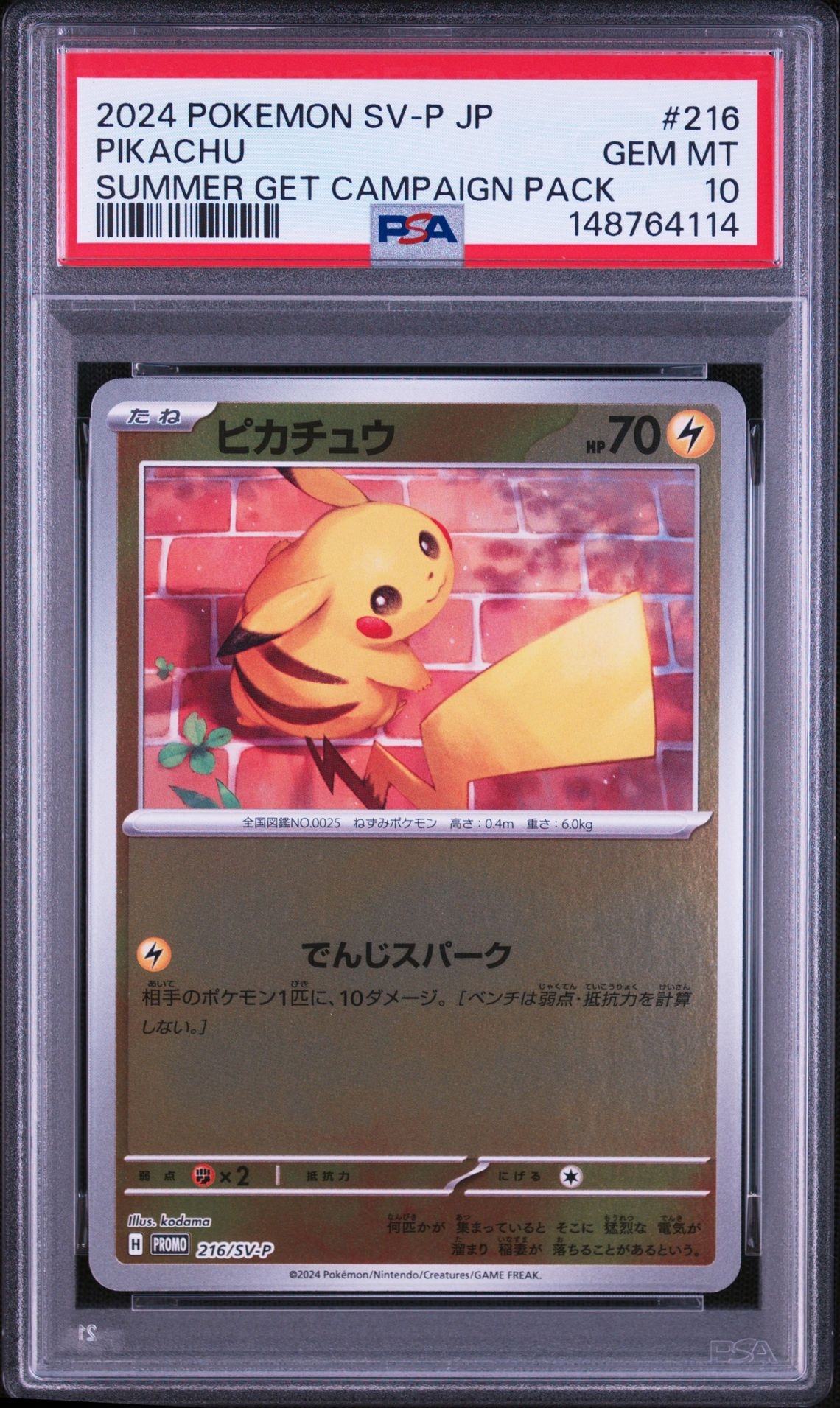 ピカチュウ P [SV-P 216](プロモカードパック「ポケカの夏がキタ