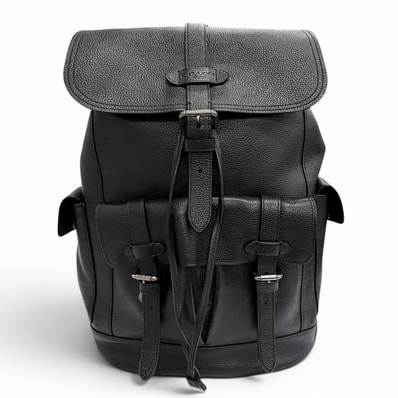 美品 コーチ リュックサック デイパック ハドソン ブラック F36811