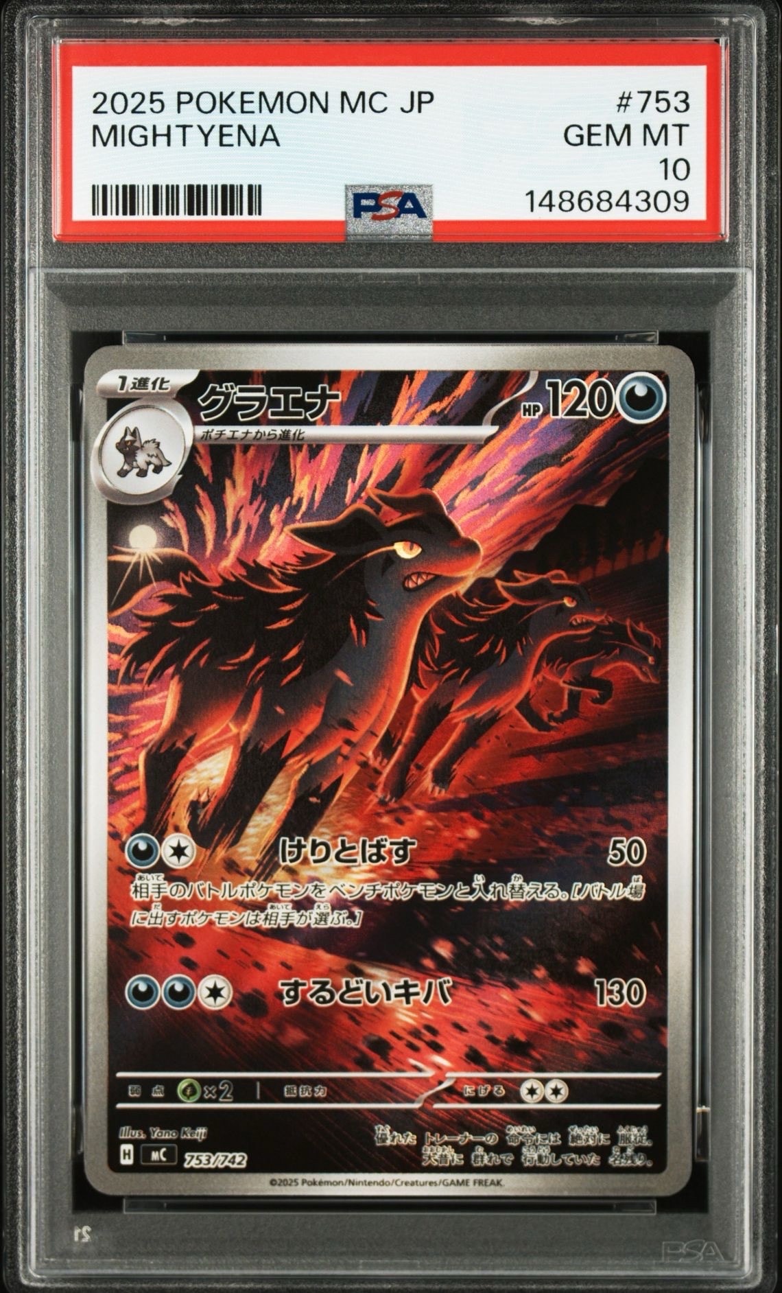 グラエナ AR仕様 [MC 753/742](スタートデッキ100「バトルコレクション