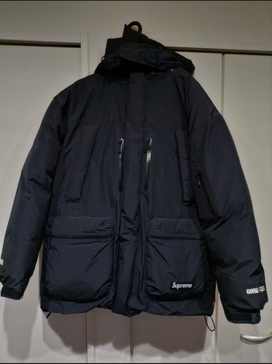 Supreme GORE TEX 700 Fill Down Parka "Black"
