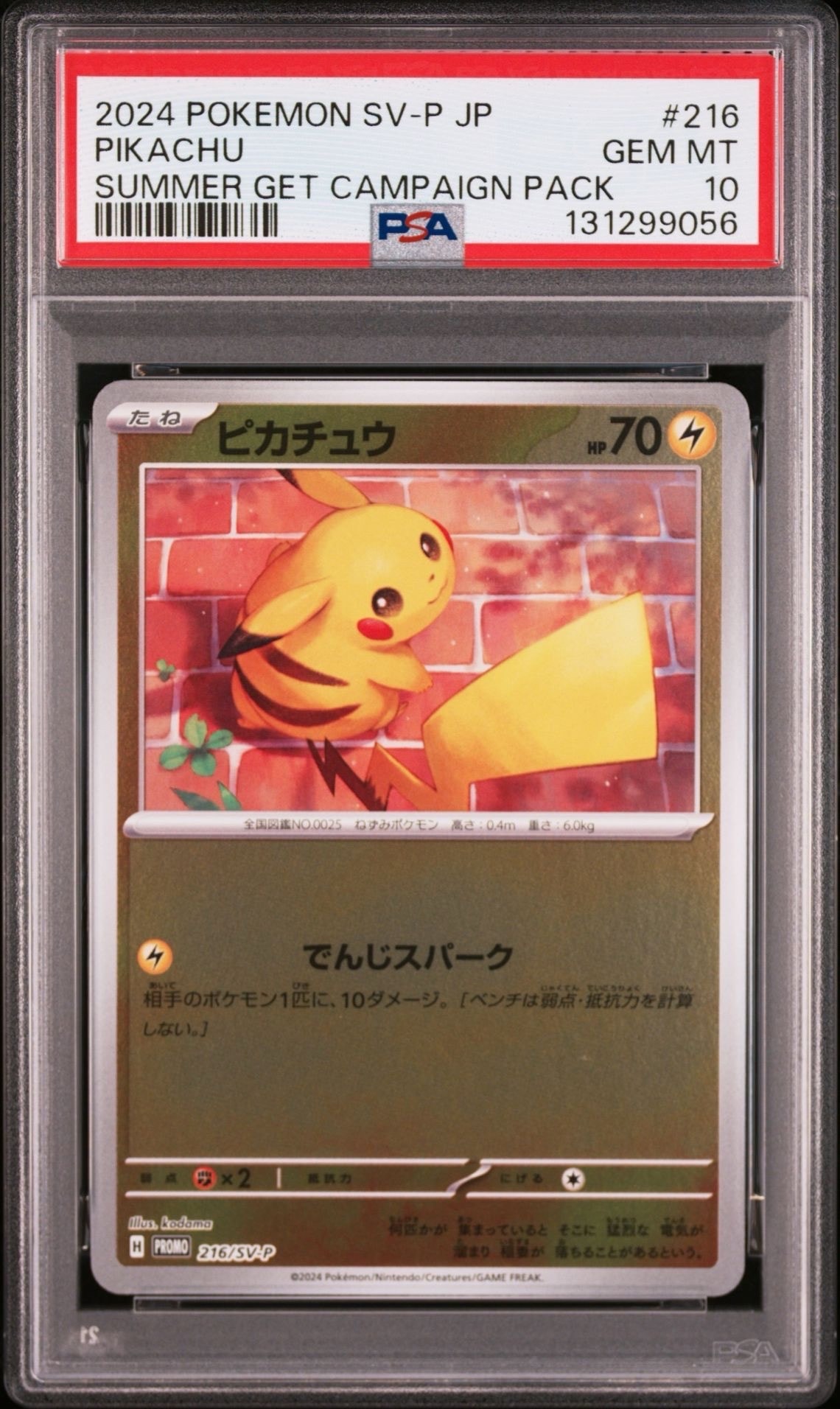 ピカチュウ P [SV-P 216](プロモカードパック「ポケカの夏がキタ!プロモカードGetキャンペーン!」)
