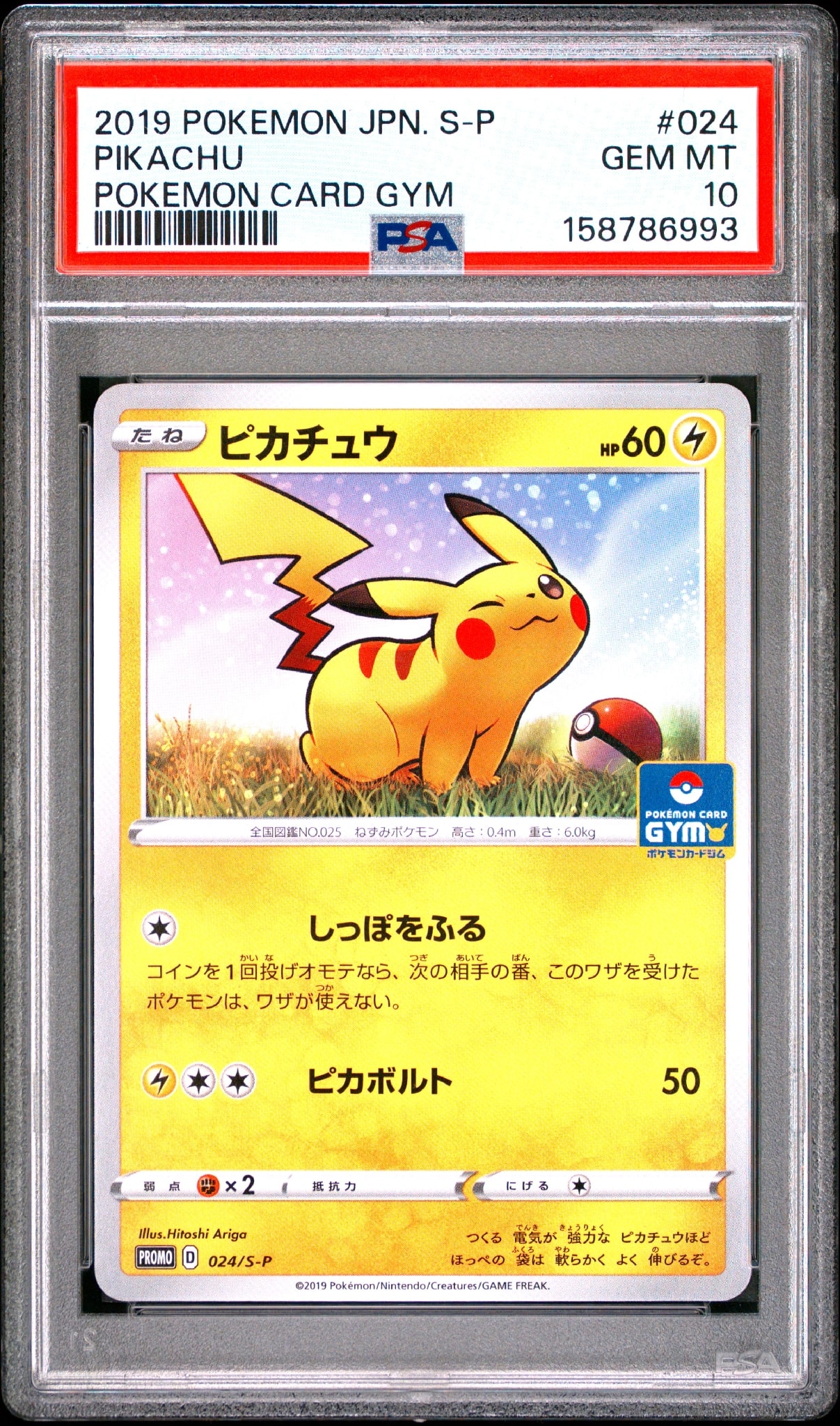 ピカチュウ: プロモ P [S-P 024](ポケモンカードゲーム ソード&シールド 「プロモカードパック 第1弾」)