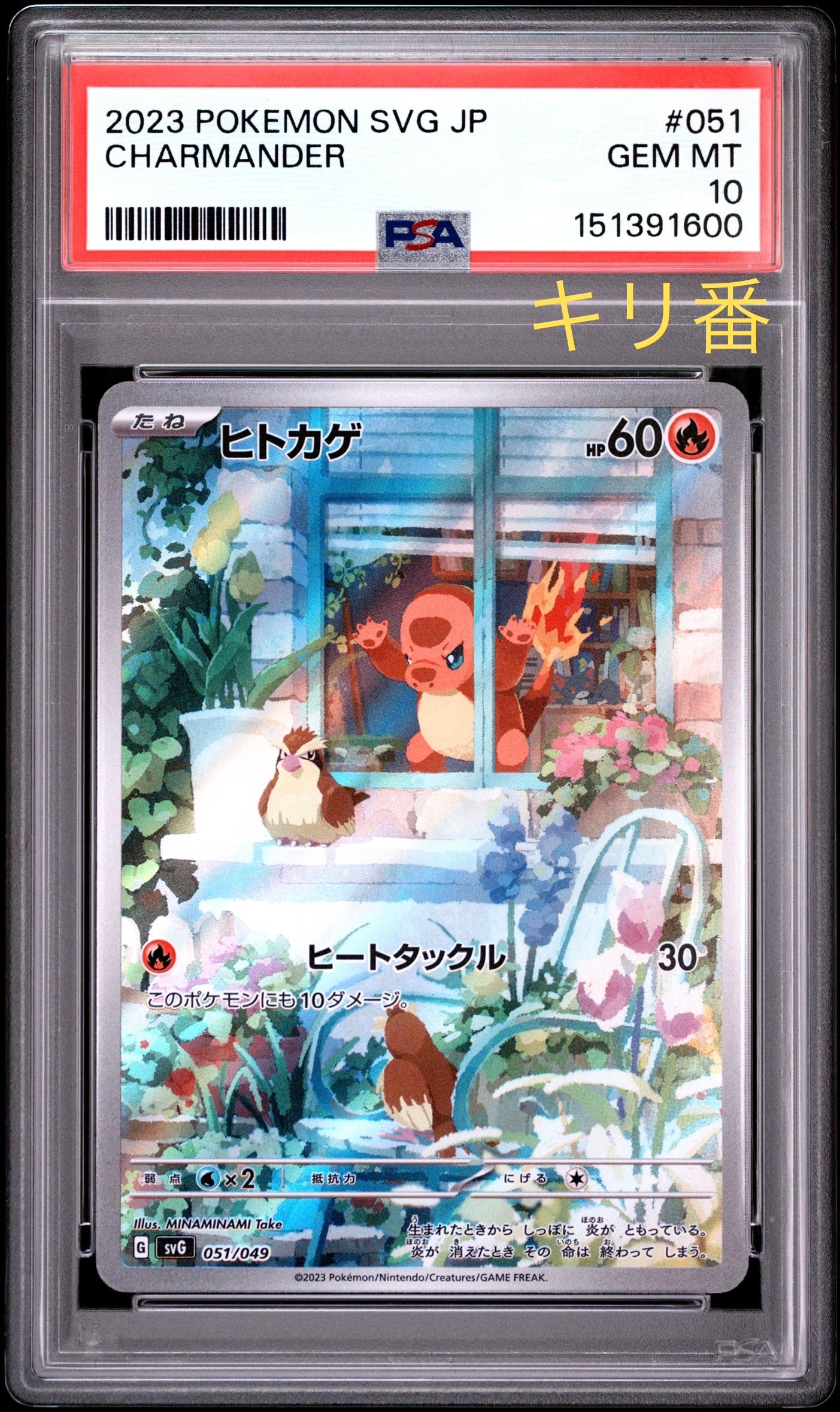 ヒトカゲ :フルイラスト [SVG 051/049](スペシャルデッキセットex