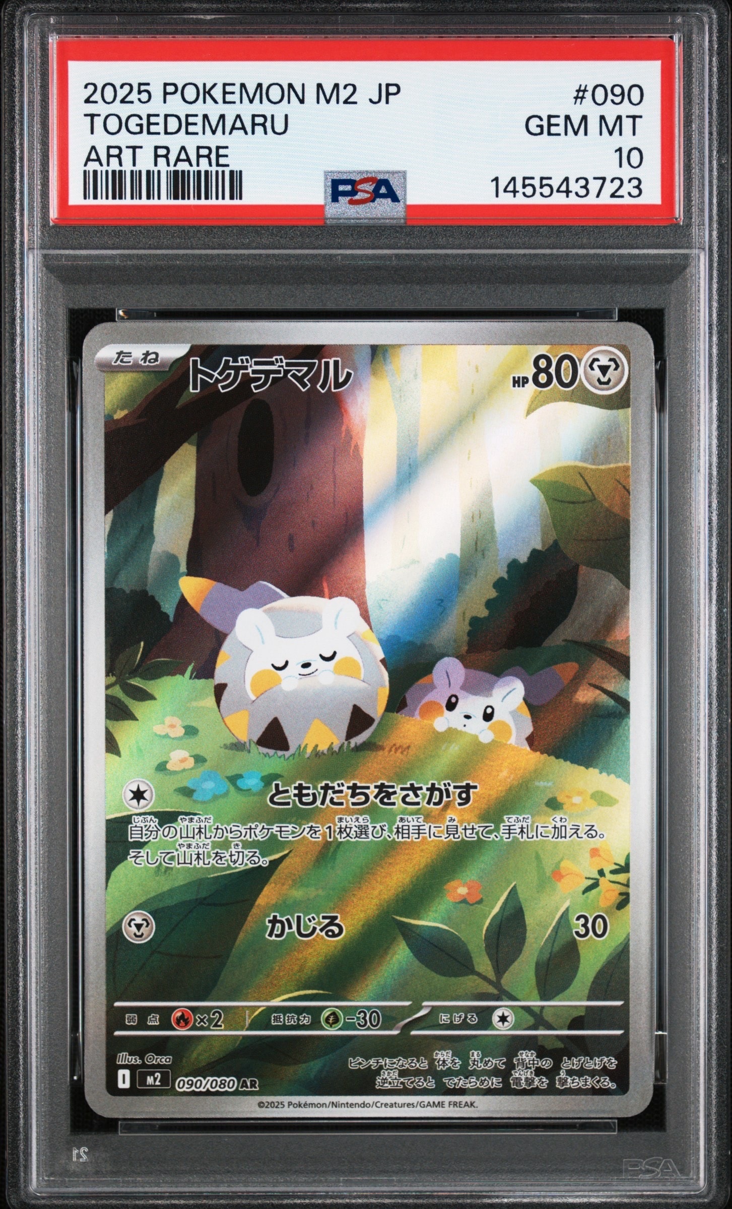 トゲデマル AR [M2 090/080](拡張パック「インフェルノX」)
