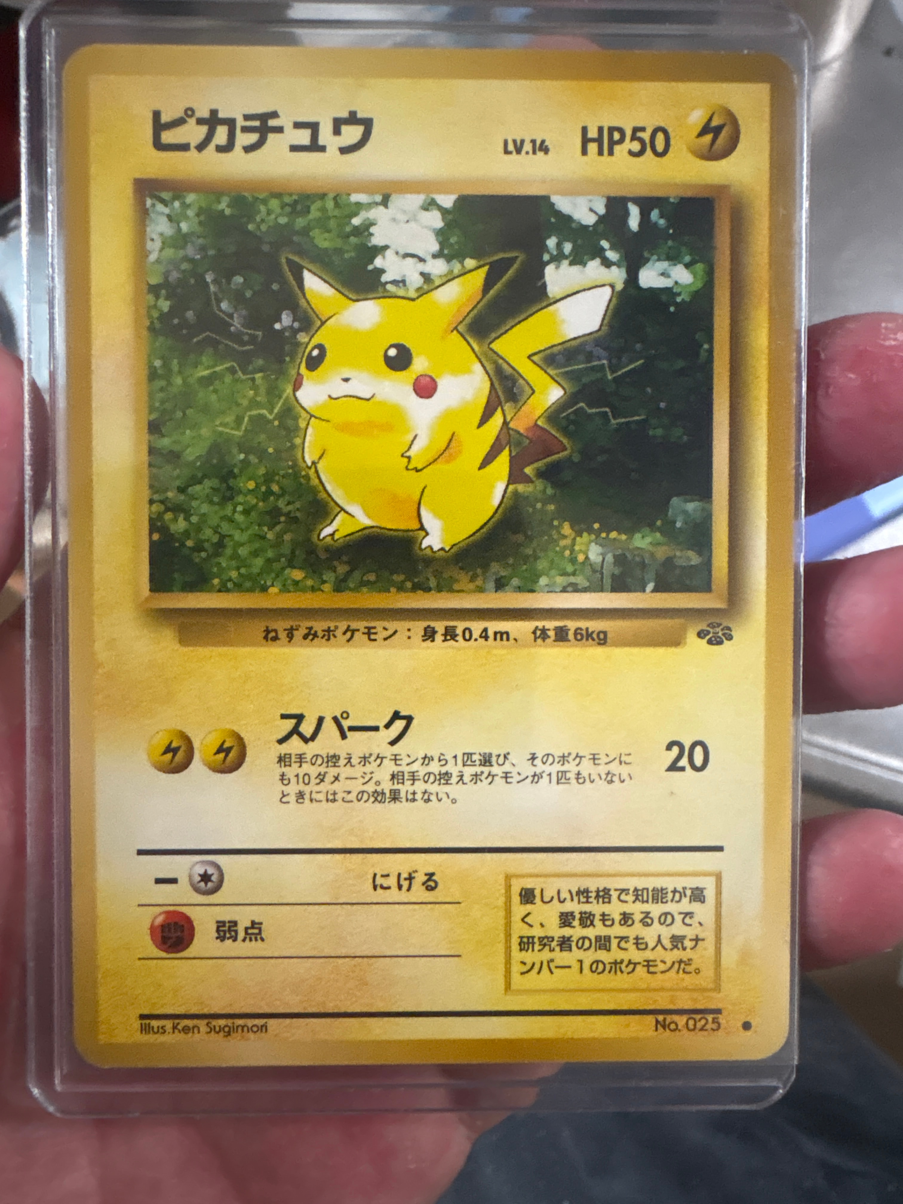 ピカチュウ ● : 旧裏 [PMCG2 No.025](拡張パック「ポケモンジャングル」)