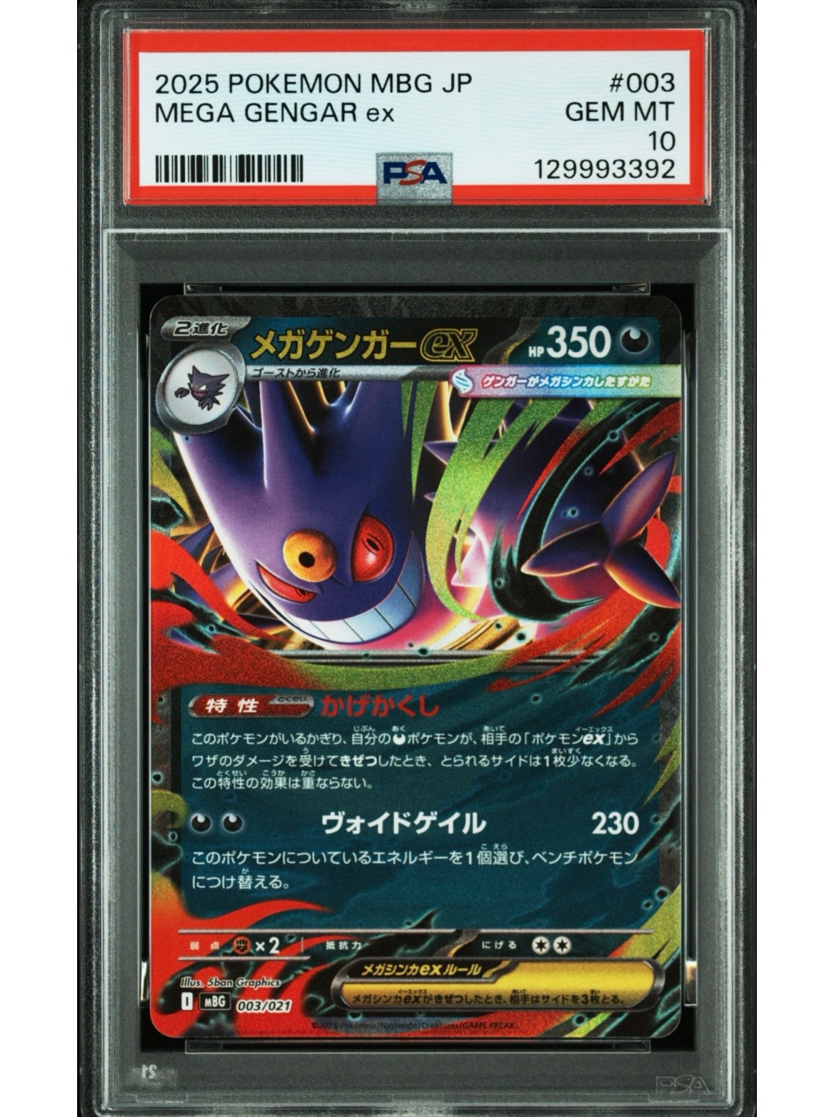 PSA8以下】ゼニガメ ○ : 旧裏 [PMCG1-2](拡張パック