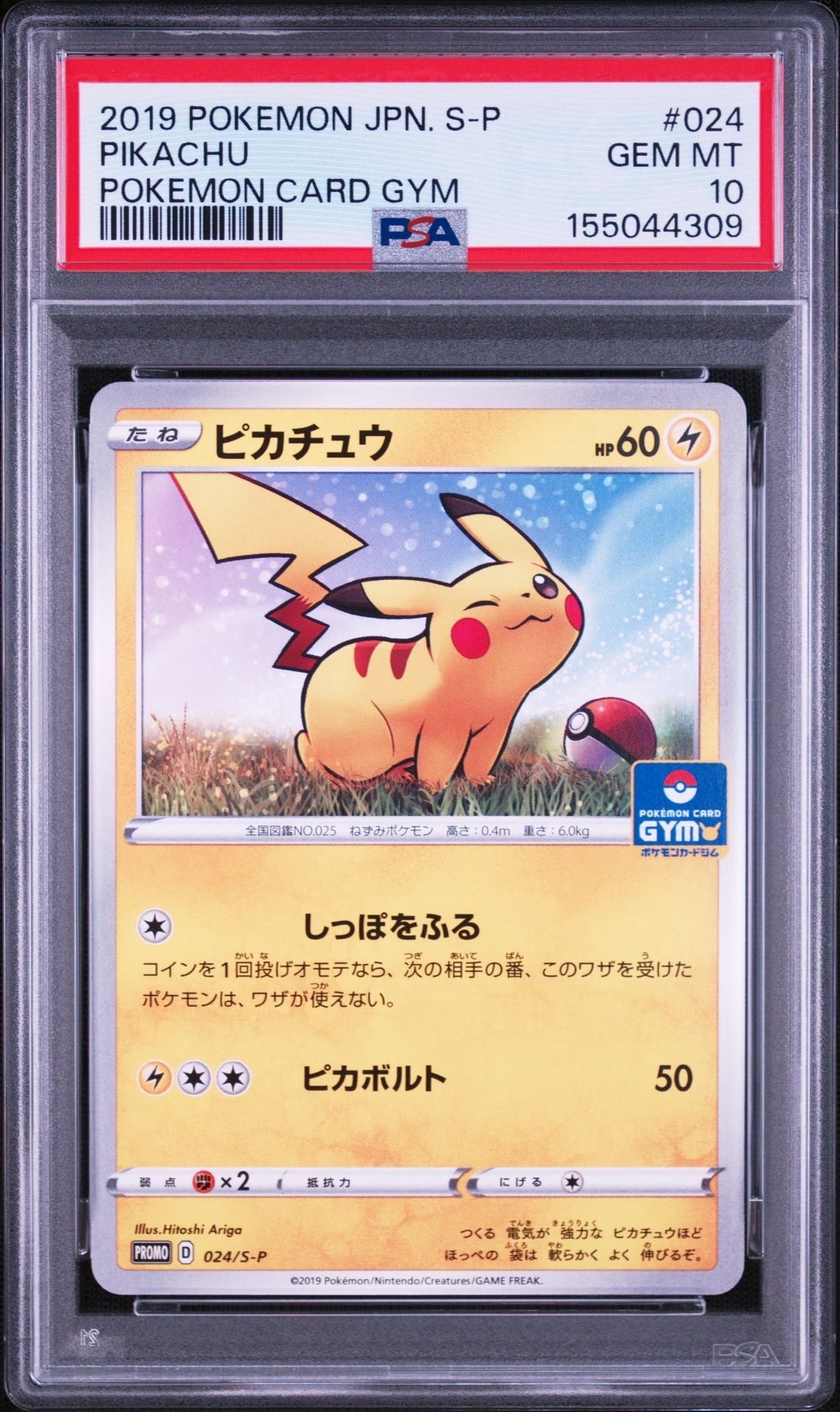 ピカチュウ: プロモ P [S-P 024](ポケモンカードゲーム ソード