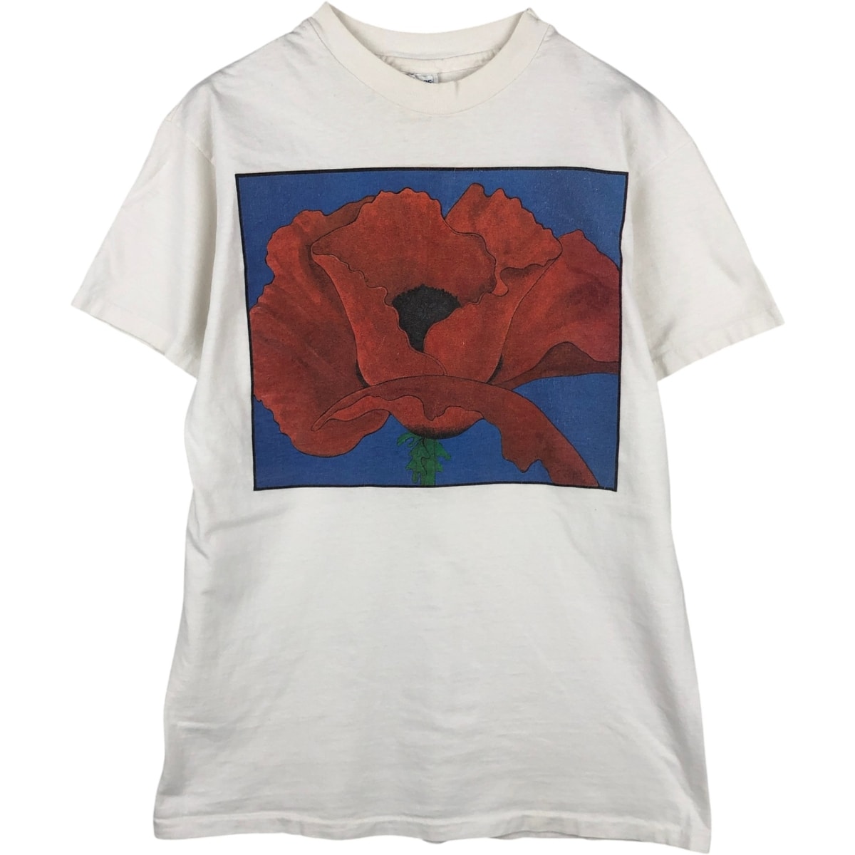 古着 90年代 ヘインズ Hanes BEEFY-T 青タグ プリントTシャツ USA製 メンズL相当 ヴィンテージ/eaa636222