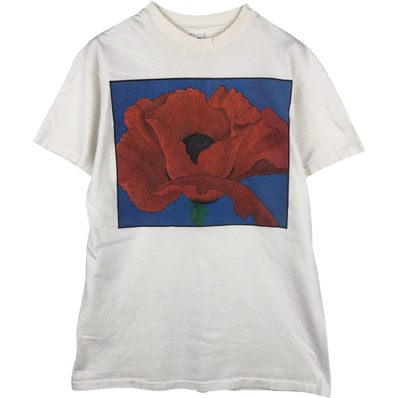 古着 90年代 ヘインズ Hanes BEEFY-T 青タグ プリントTシャツ USA製 メンズL相当 ヴィンテージ/eaa636222