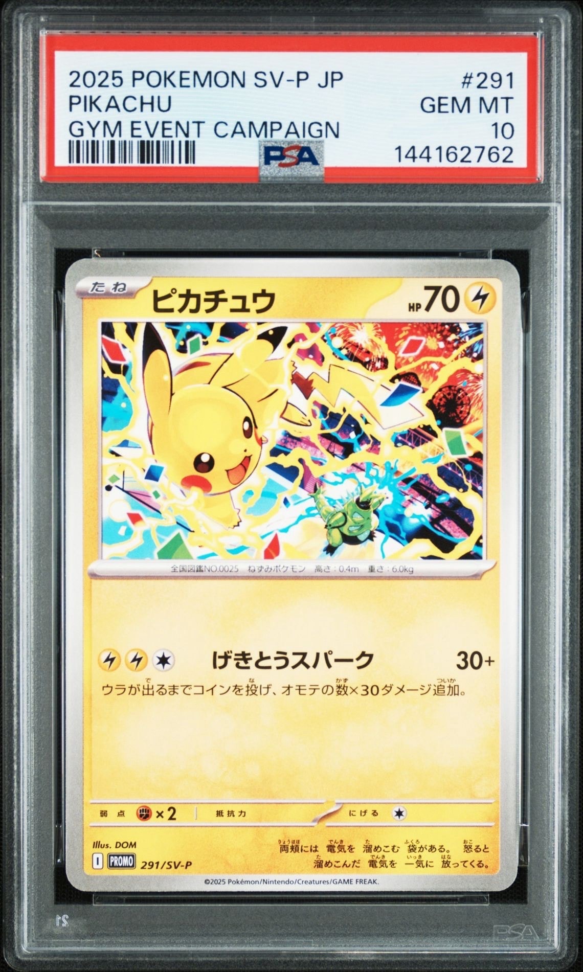 トウホクのピカチュウ P [SV-P 260](スペシャルBOX「ポケモンセンター