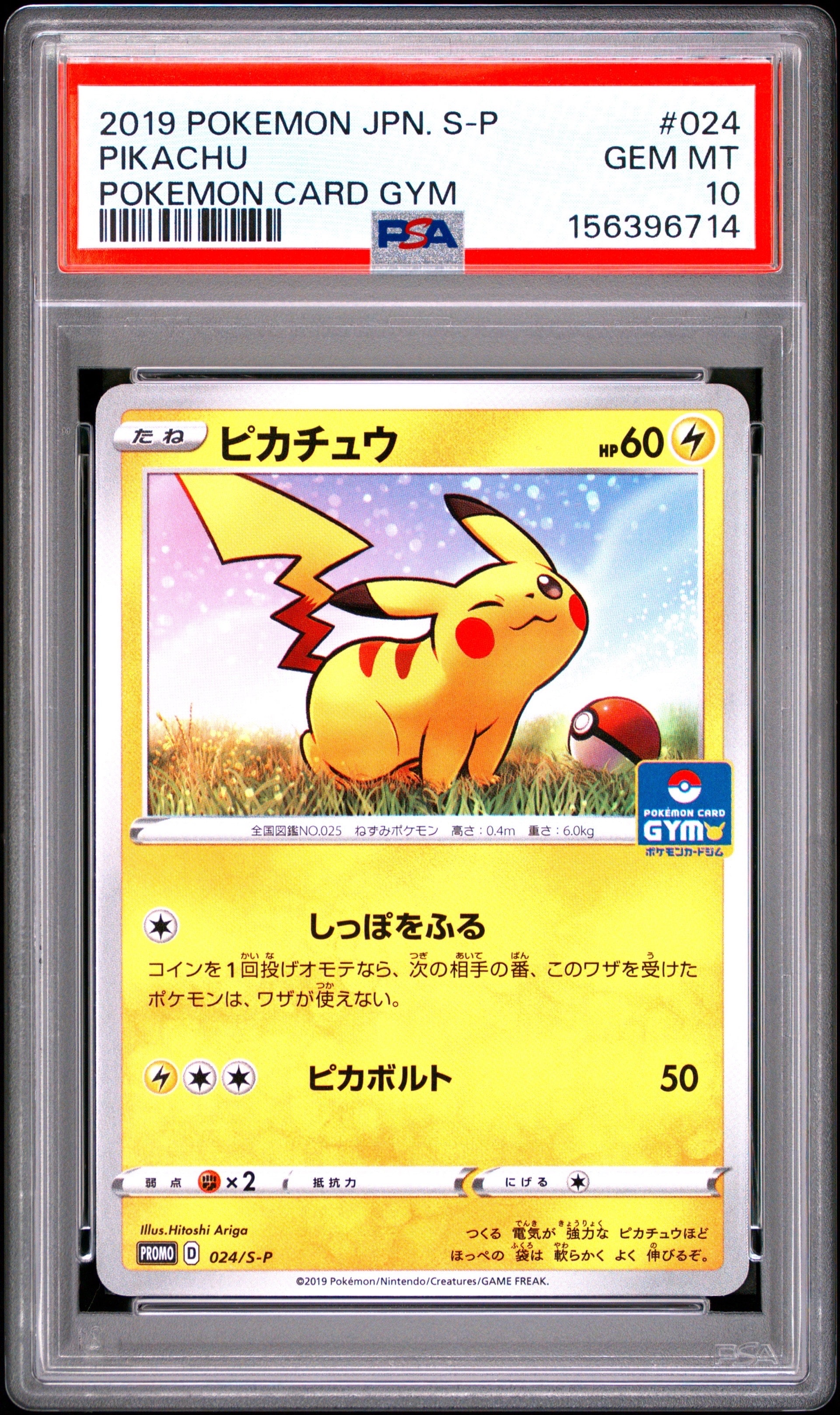 ピカチュウ: プロモ P [S-P 024](ポケモンカードゲーム ソード&シールド 「プロモカードパック 第1弾」)