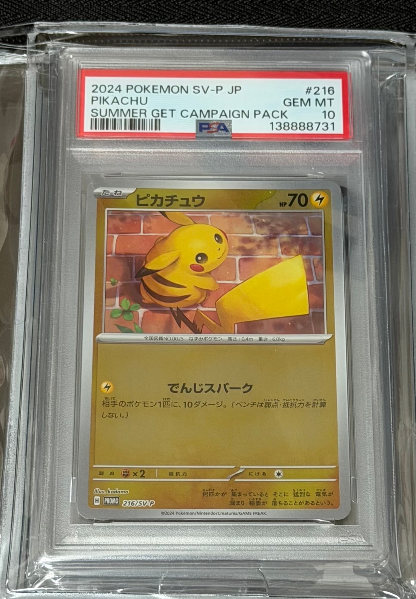 ピカチュウ P [SV-P 216](プロモカードパック「ポケカの夏がキタ!プロモカードGetキャンペーン!」)