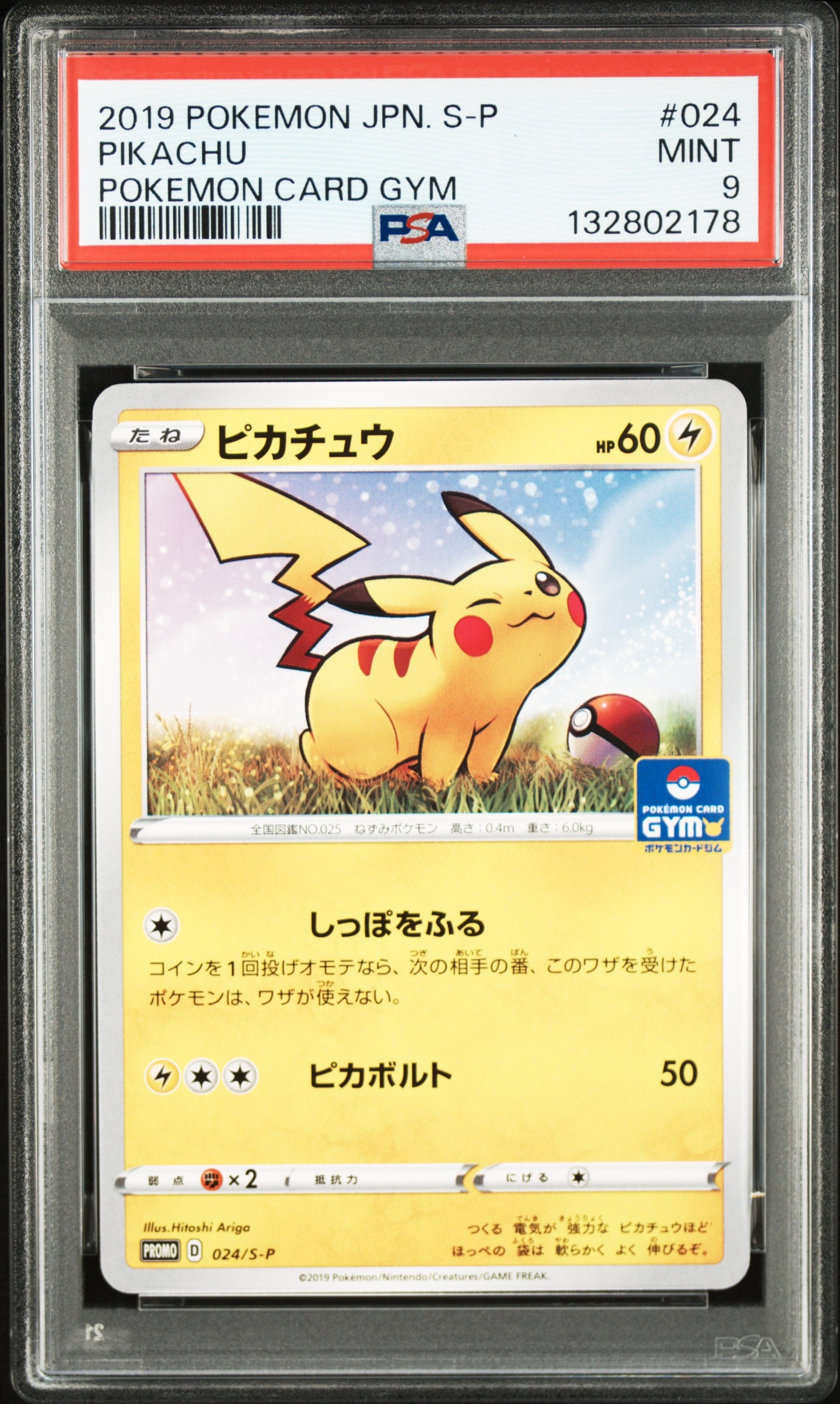 ピカチュウ: プロモ P [S-P 024](ポケモンカードゲーム ソード&シールド 「プロモカードパック 第1弾」)