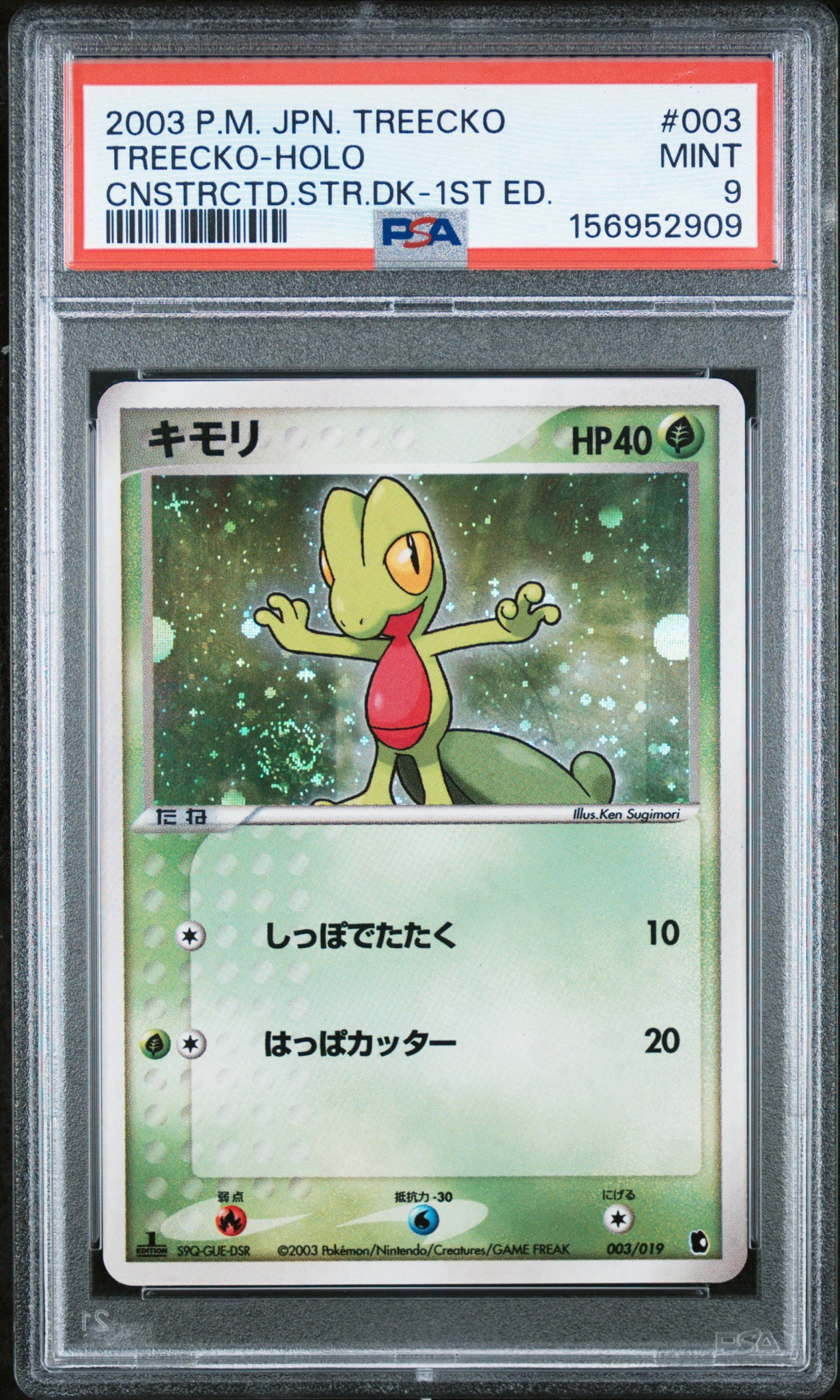 キモリ :1ED [ADV1-K 003/019](構築済みスターター「第1弾 キモリデッキ」)