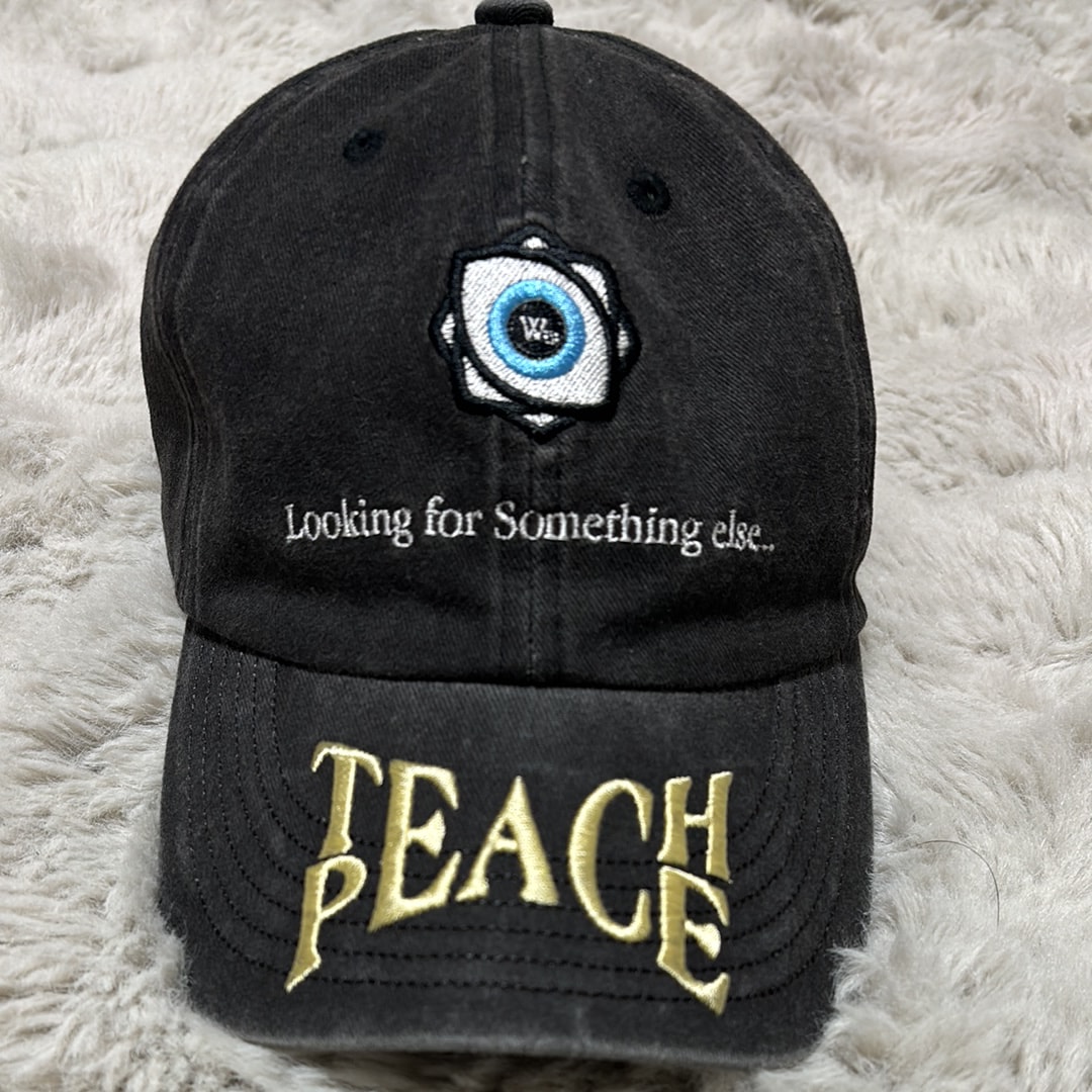 WANNA L.F.S.E 6 PANEL CAP "STONE"