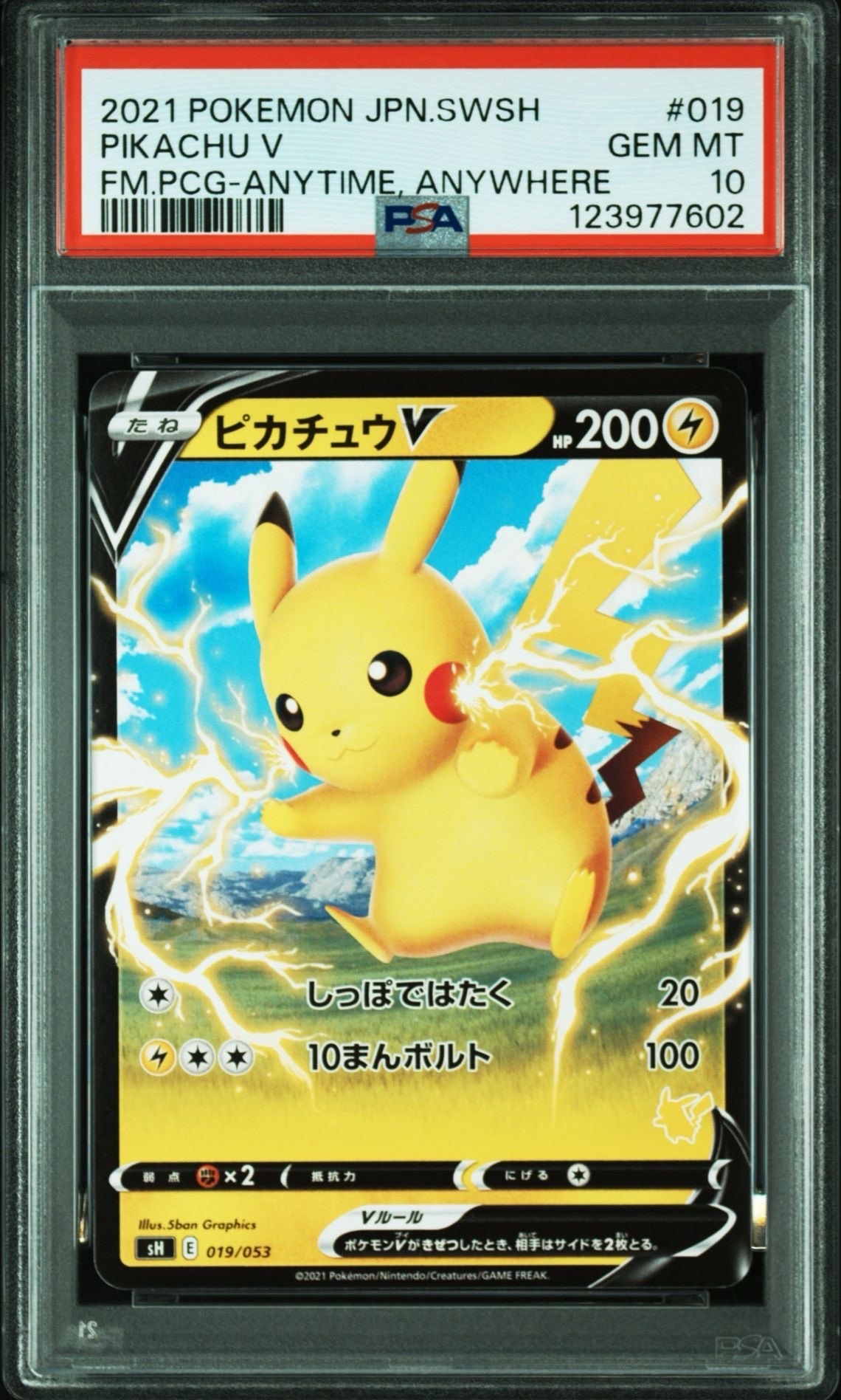 ピカチュウV RR仕様 [SH 019/053](ファミリーポケモンカードゲーム「ピカチュウV」)