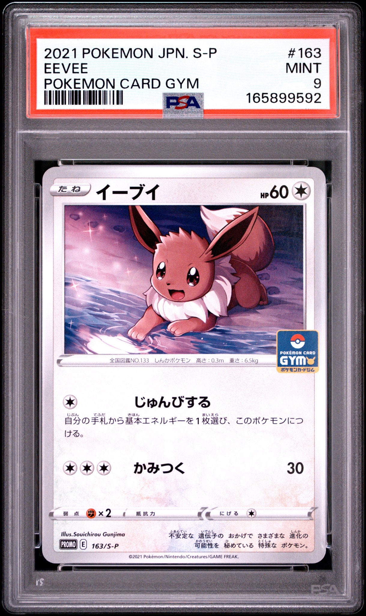 イーブイ: プロモ P [S-P 163](ポケモンカードゲーム ソード&シールド 「プロモカードパック 第5弾」)