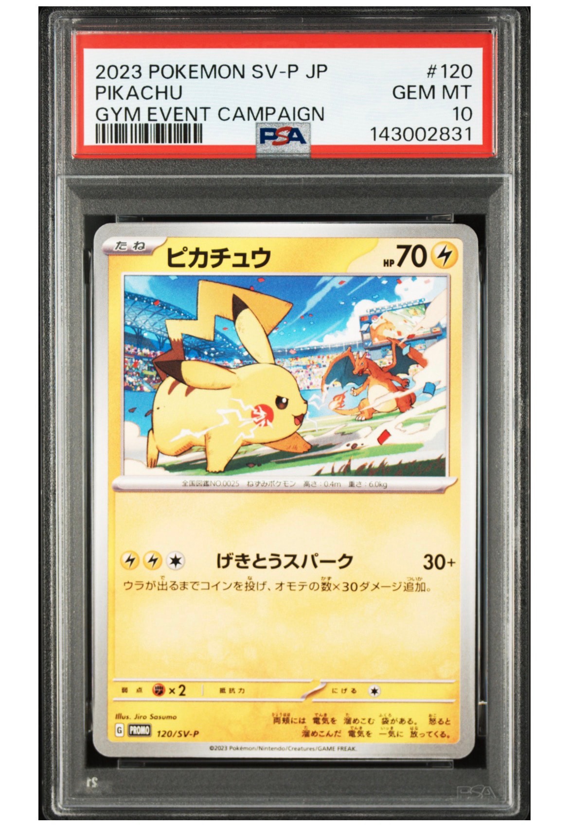 ピカチュウ: プロモ [SV-P 120](プロモーションカード「SV-P」)