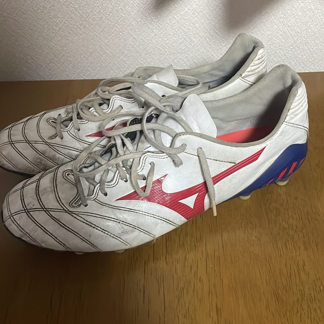 モナルシーダ NEO 2 JAPAN