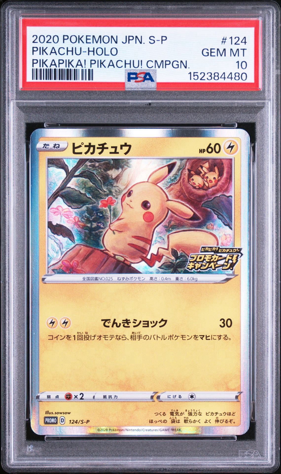 ピカチュウ: プロモ P [S-P 124](ピカピカ！ピカチュウ！プロモカード