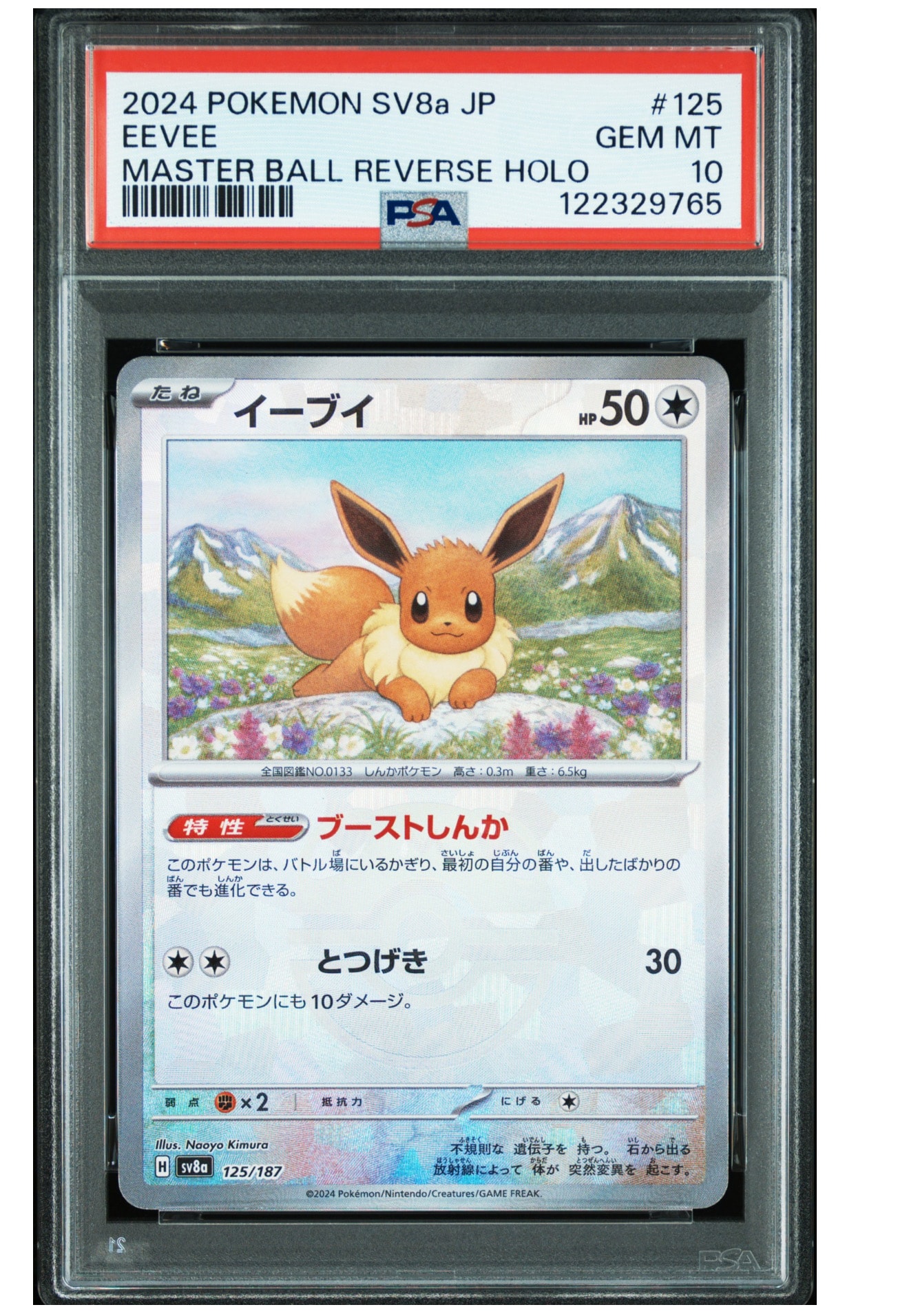 イーブイ :マスターボールミラー [SV8a 125/187](ハイクラスパック「テラスタルフェスex」)