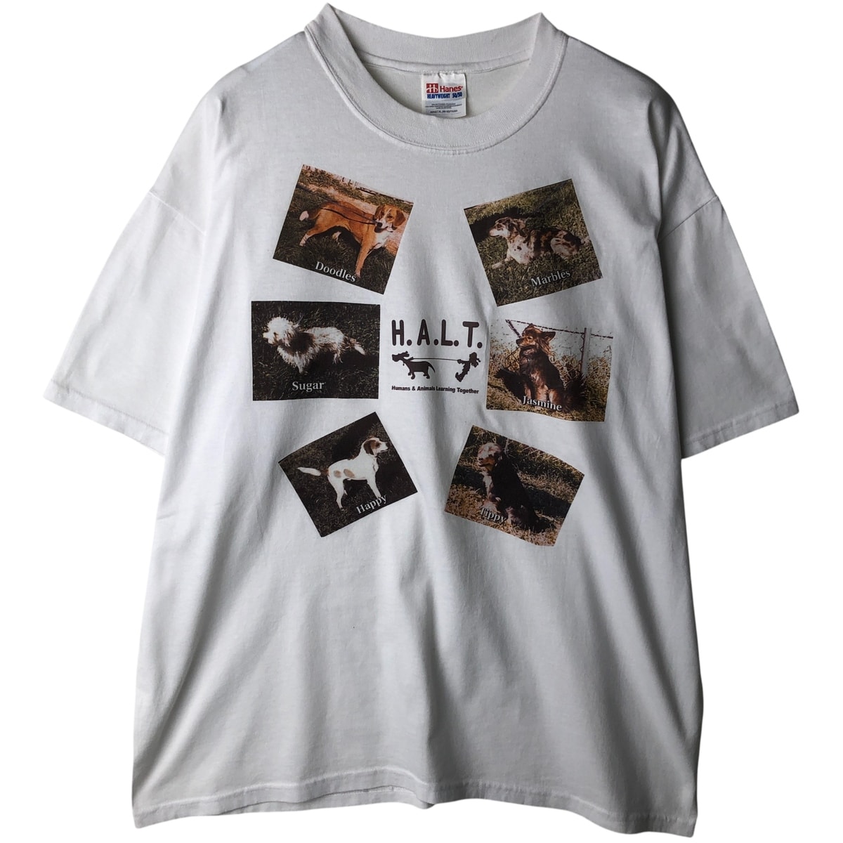 古着 00年代 ヘインズ Hanes HEAVYWEIGHT 50/50 犬柄 アニマルTシャツ メンズXL相当/eaa617507