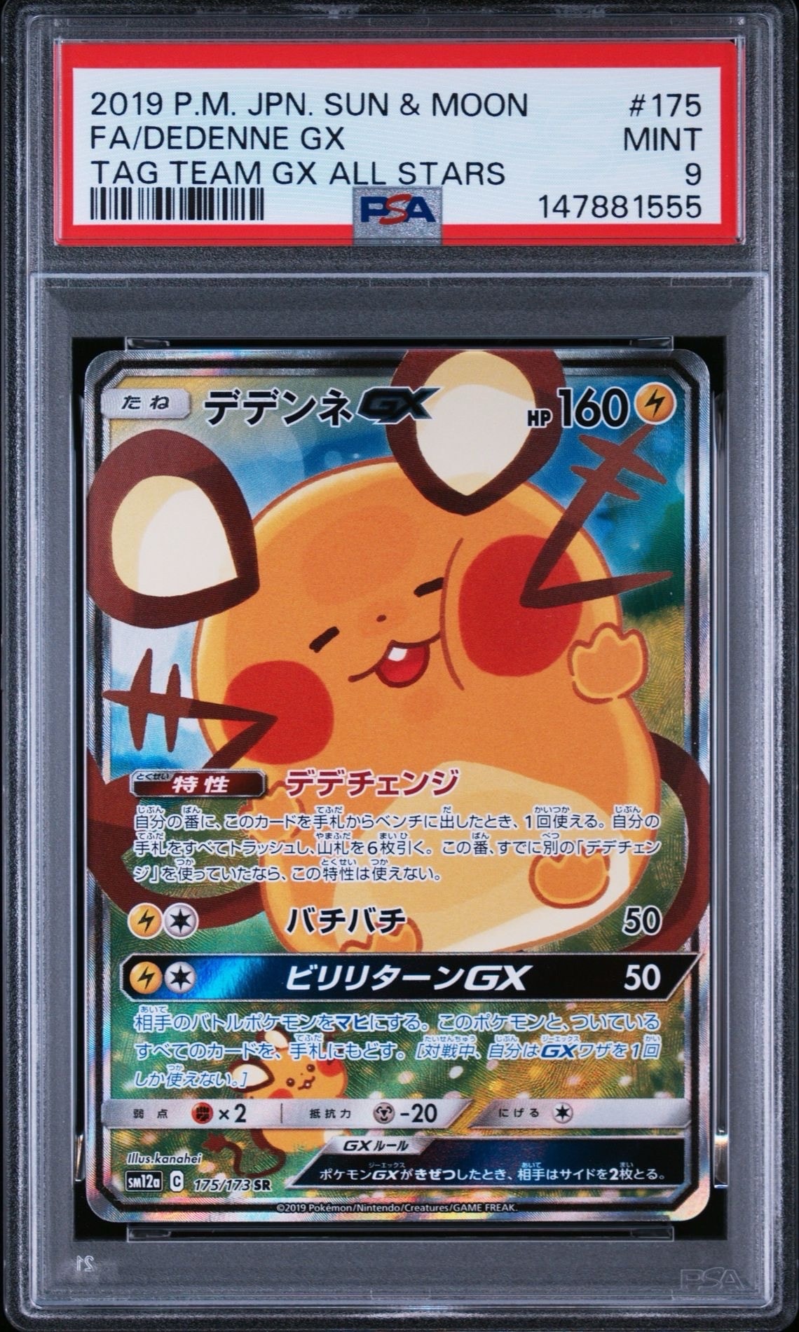 ピカチュウ P [SM-P 242](サン&ムーン スペシャルセット「ピカチュウ