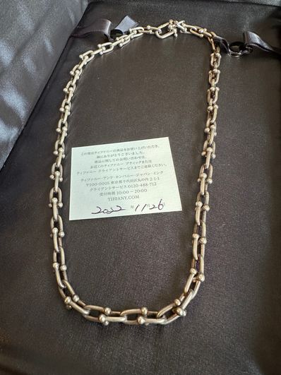 Tiffany & Co. Tiffany HardWear Link Necklace "Silver"