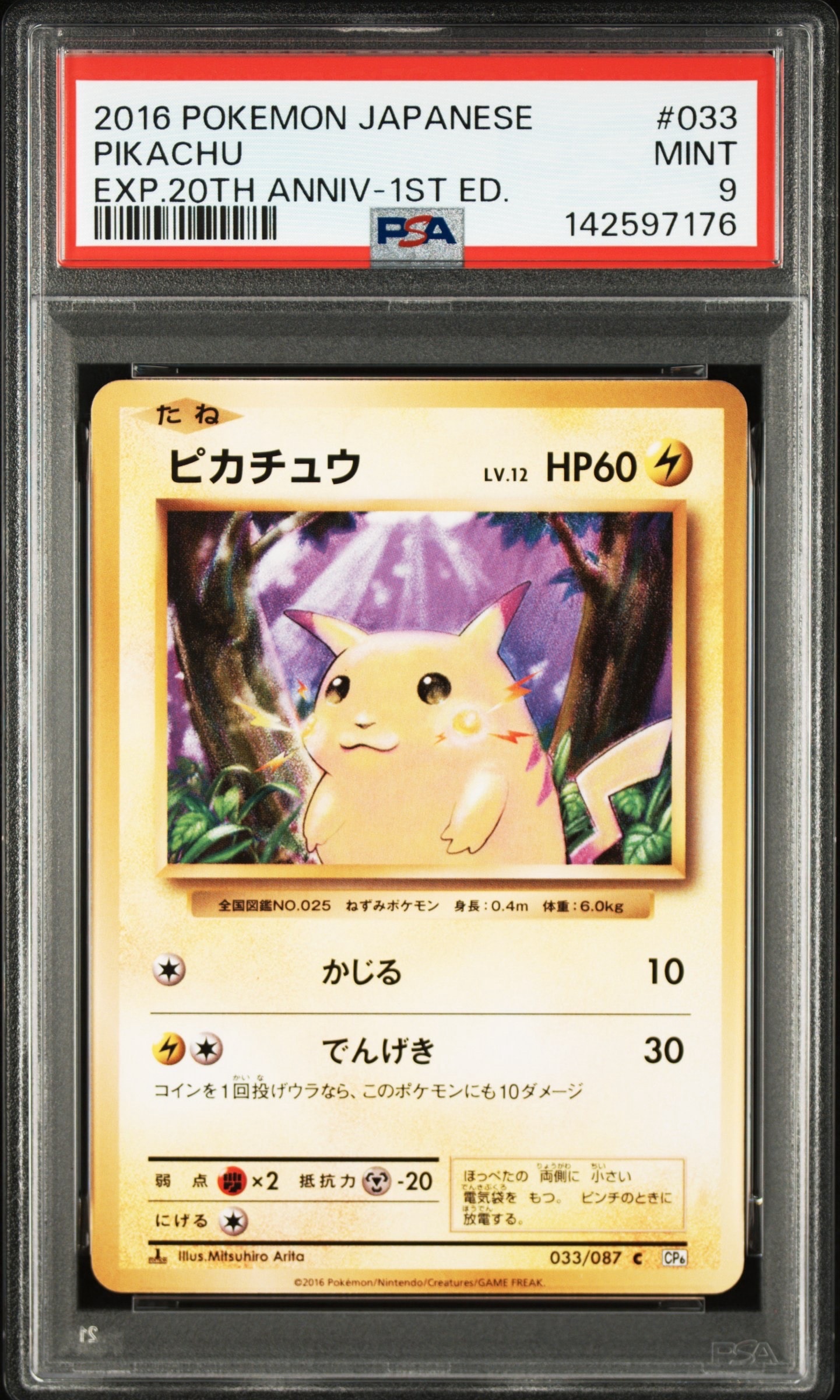 ピカチュウ C :1ED [CP6 033/087](コンセプトパック「ポケットモンスターカードゲーム 拡張パック 20th Anniversary」)
