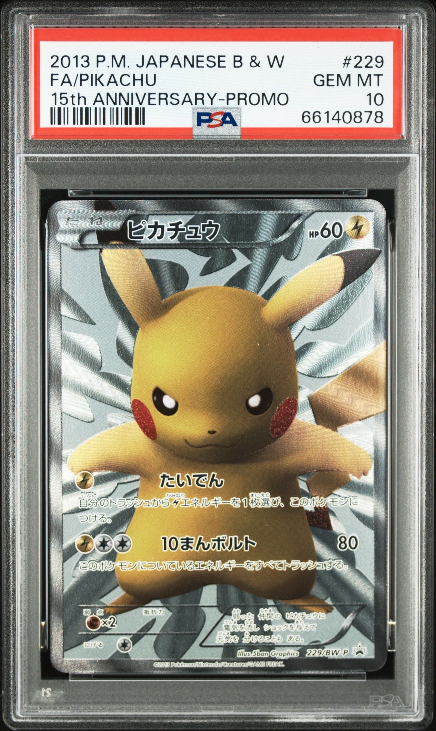 ピカチュウ P [BW-P 229/BW-P](プロモーションカード「ポケモン