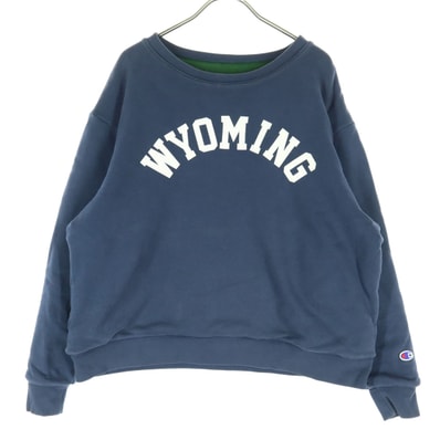 Champion チャンピオン プリント 長袖 トレーナー M ネイビー スウェット