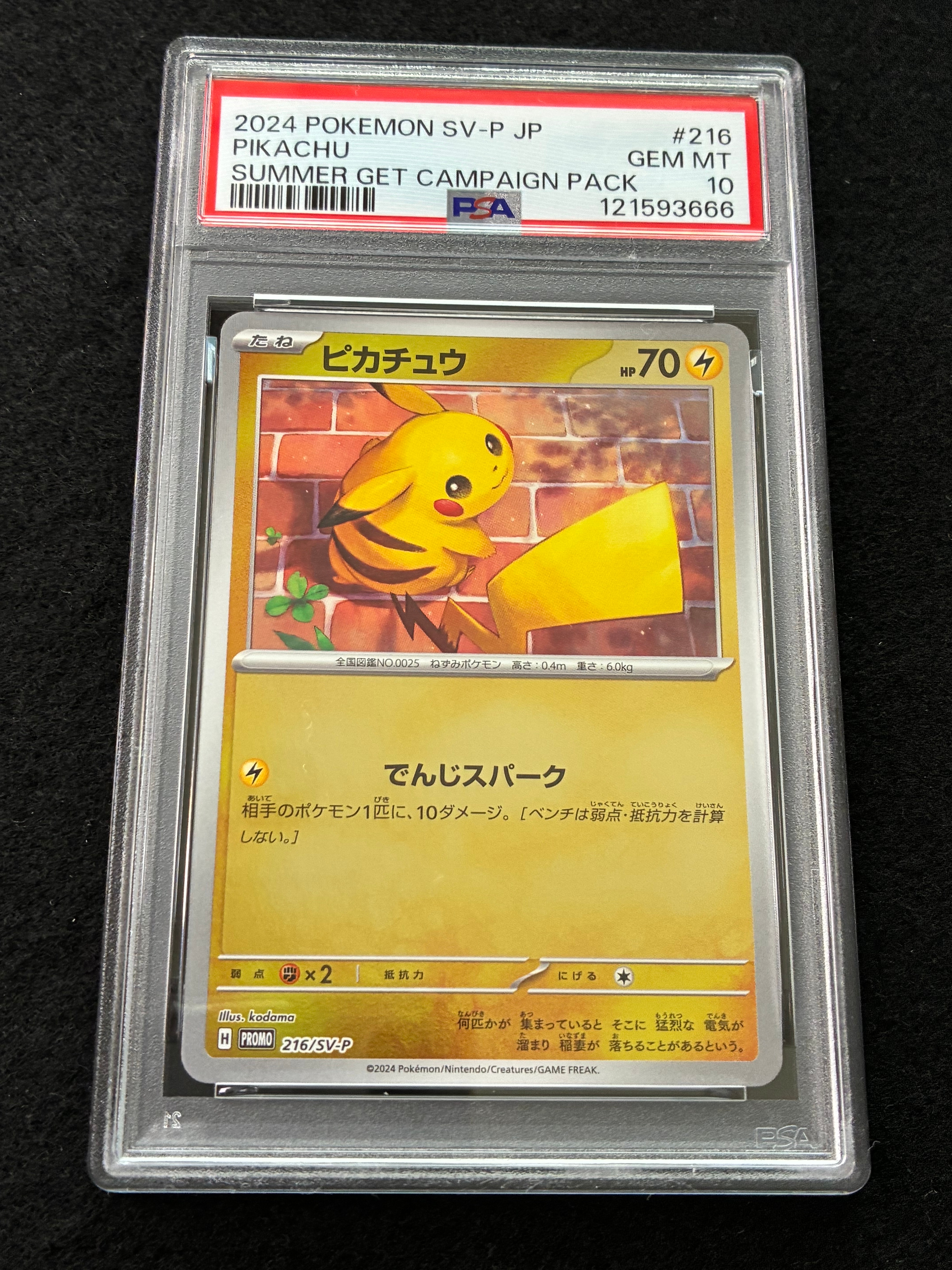 ピカチュウ P [SV-P 216](プロモカードパック「ポケカの夏がキタ!プロモカードGetキャンペーン!」)