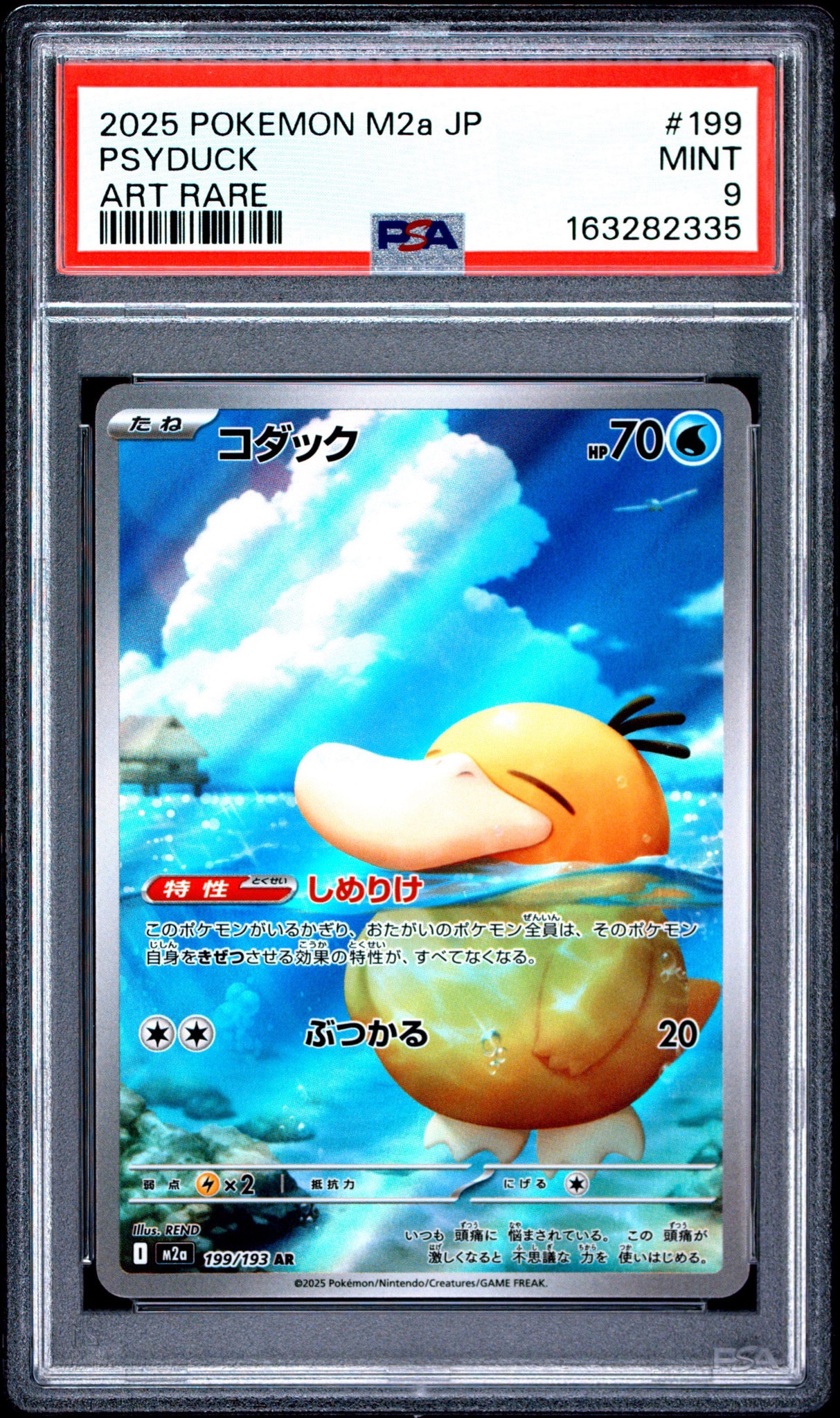 コダック AR [M2a 199/193](ハイクラスパック「MEGAドリームex」)