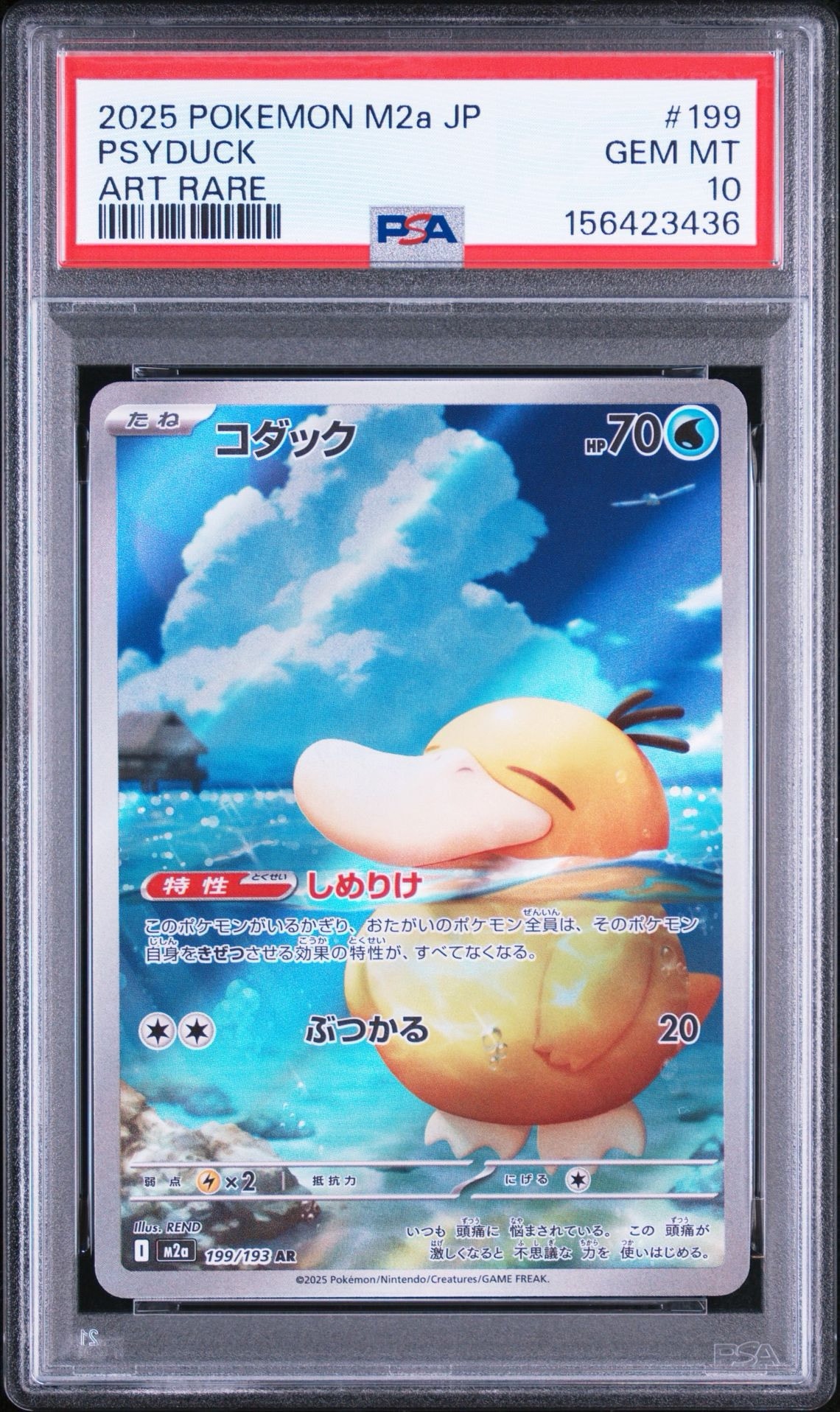 コダック AR [M2a 199/193](ハイクラスパック「MEGAドリームex」)通販