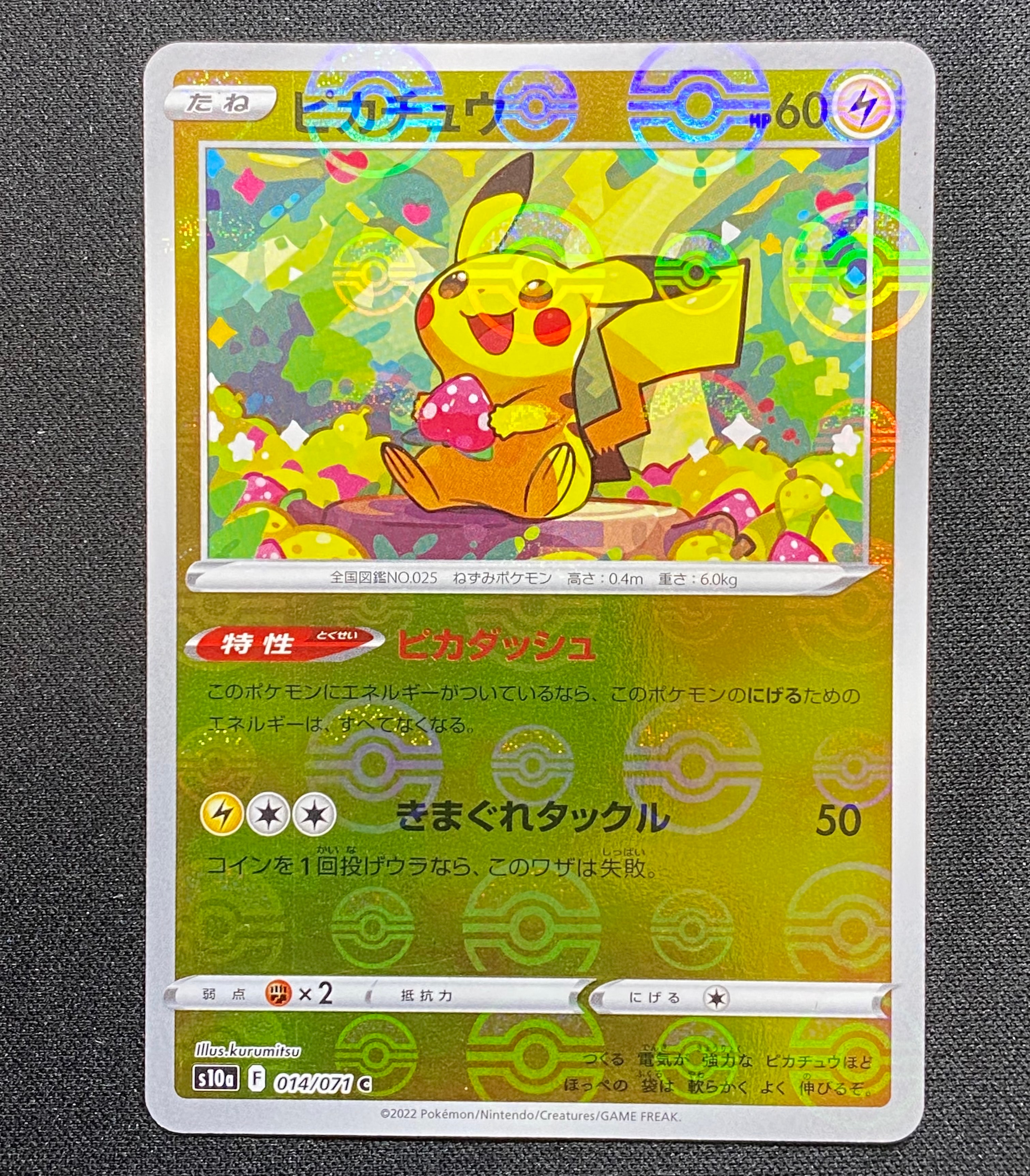 PSA10】おいわいファンファーレ: プロモ[S-P 254](プロモーション