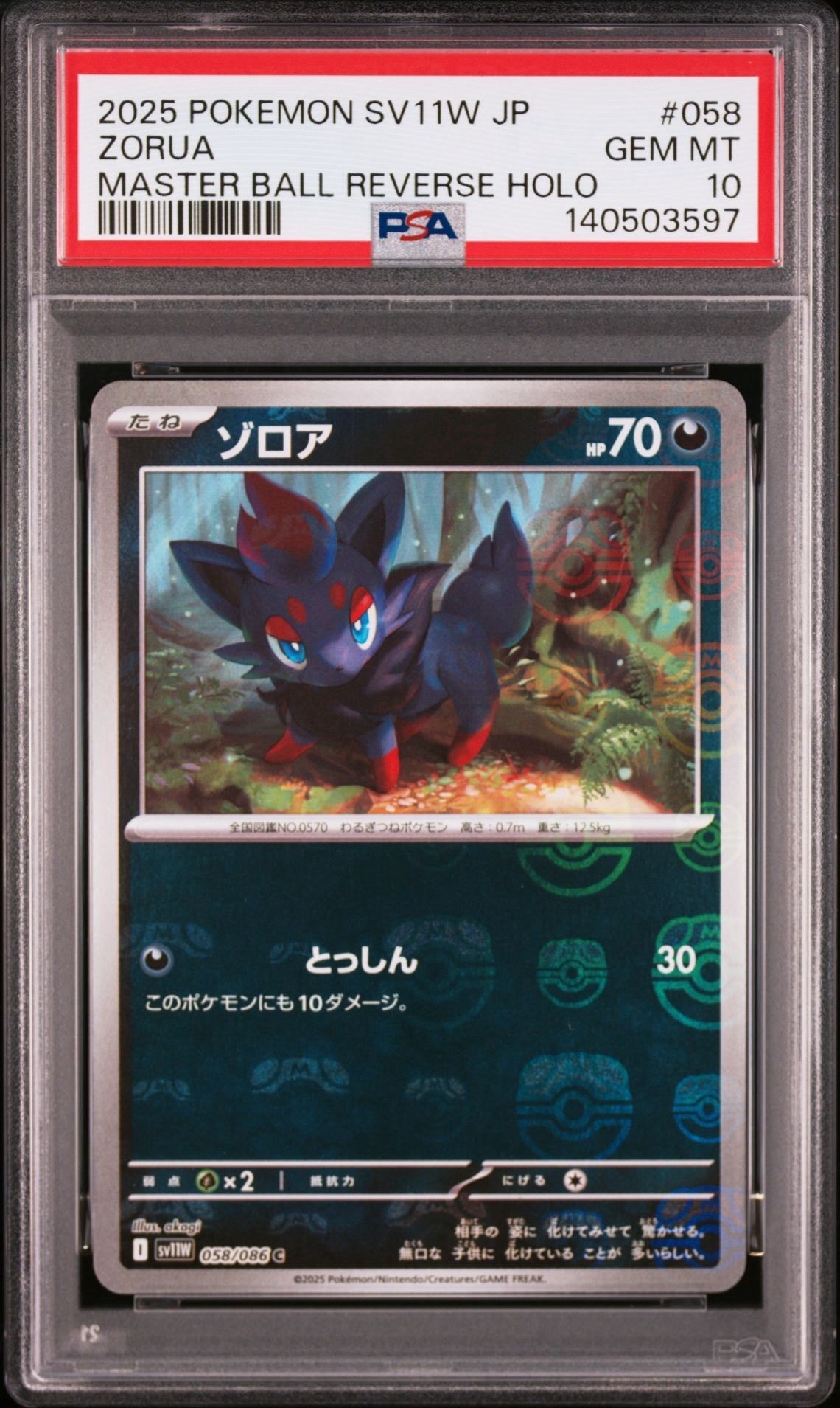 ゾロア C :マスターボールミラー [SV11W 058/086](拡張パック「ホワイトフレア」)